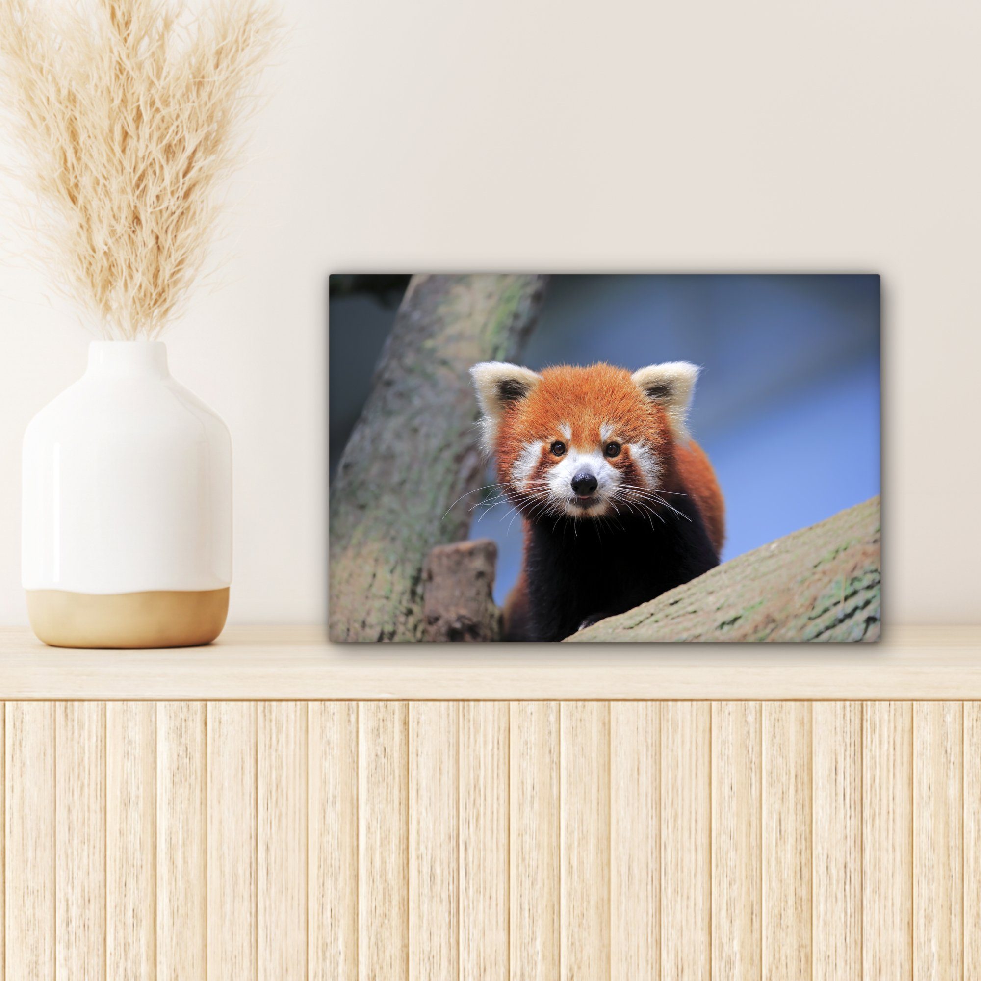 Roter Aufhängefertig, Leinwandbilder, Leinwandbild cm - Wandbild Wanddeko, Panda Baum, 30x20 - OneMillionCanvasses® St), (1 Orange
