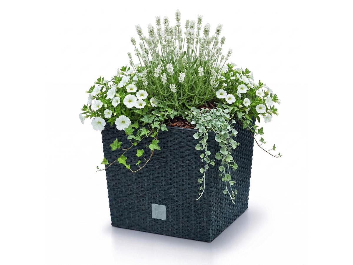 Prosperplast Blumentopf Rato Low (26,6 cm), inkl. Einsatz