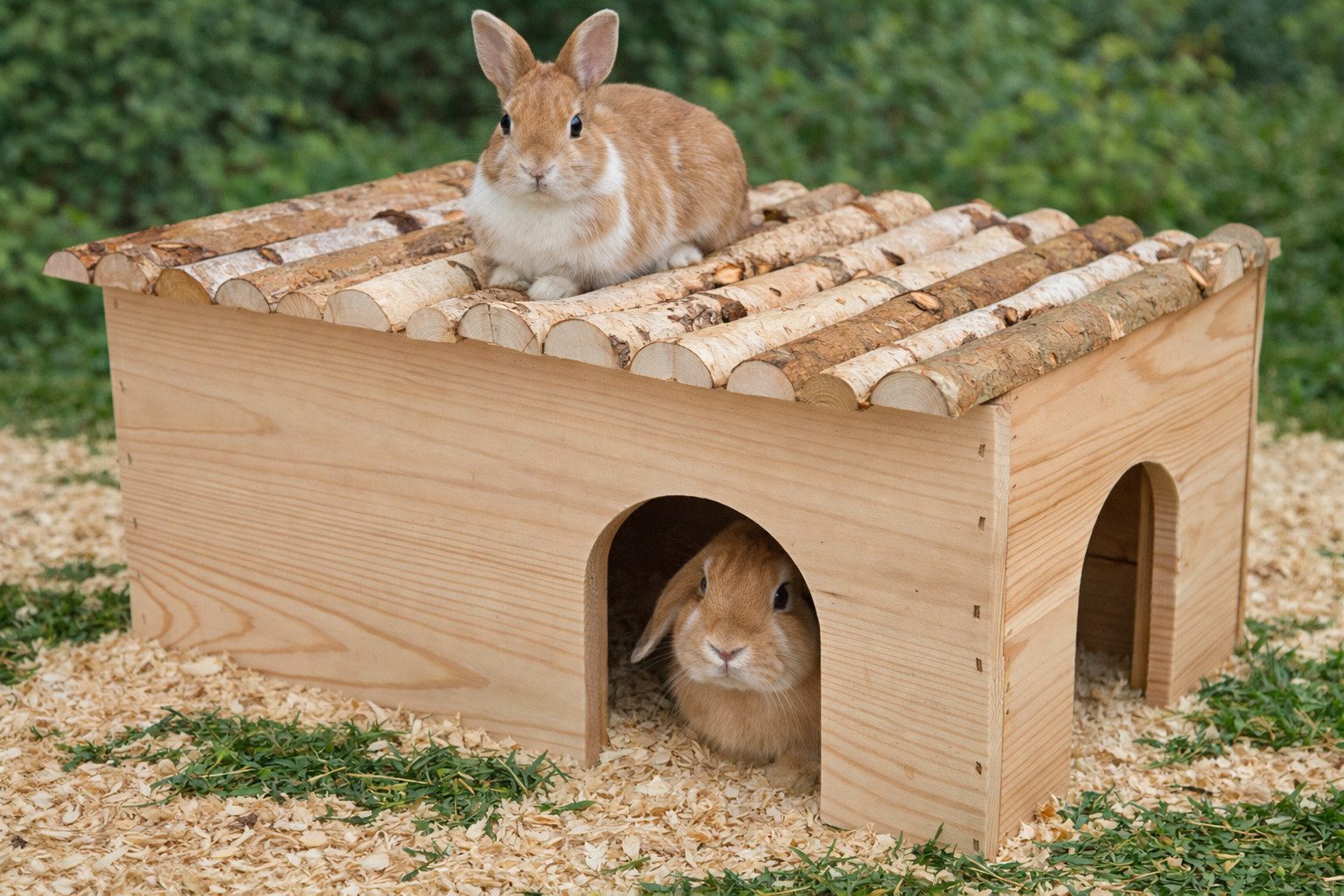 Ollesch Nagerhaus Mega großes Nagerhaus für Meerschweinchen und Kaninchen