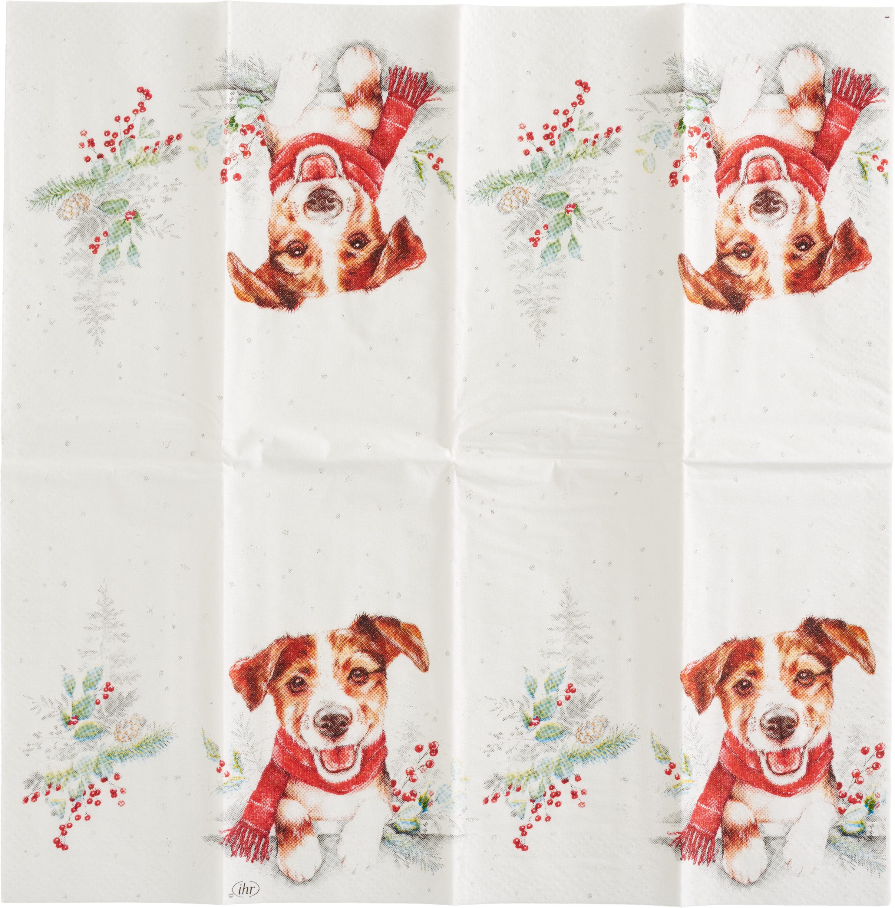 IHR Papiertaschentücher Papiertaschentücher Louie, 10 Stück
