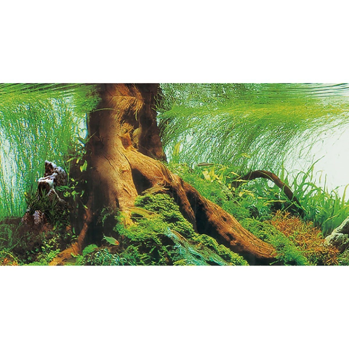 HOBBY Aquarienrückwand Fotorückwand Pearl River / Deep Delta - 100 x 50 cm