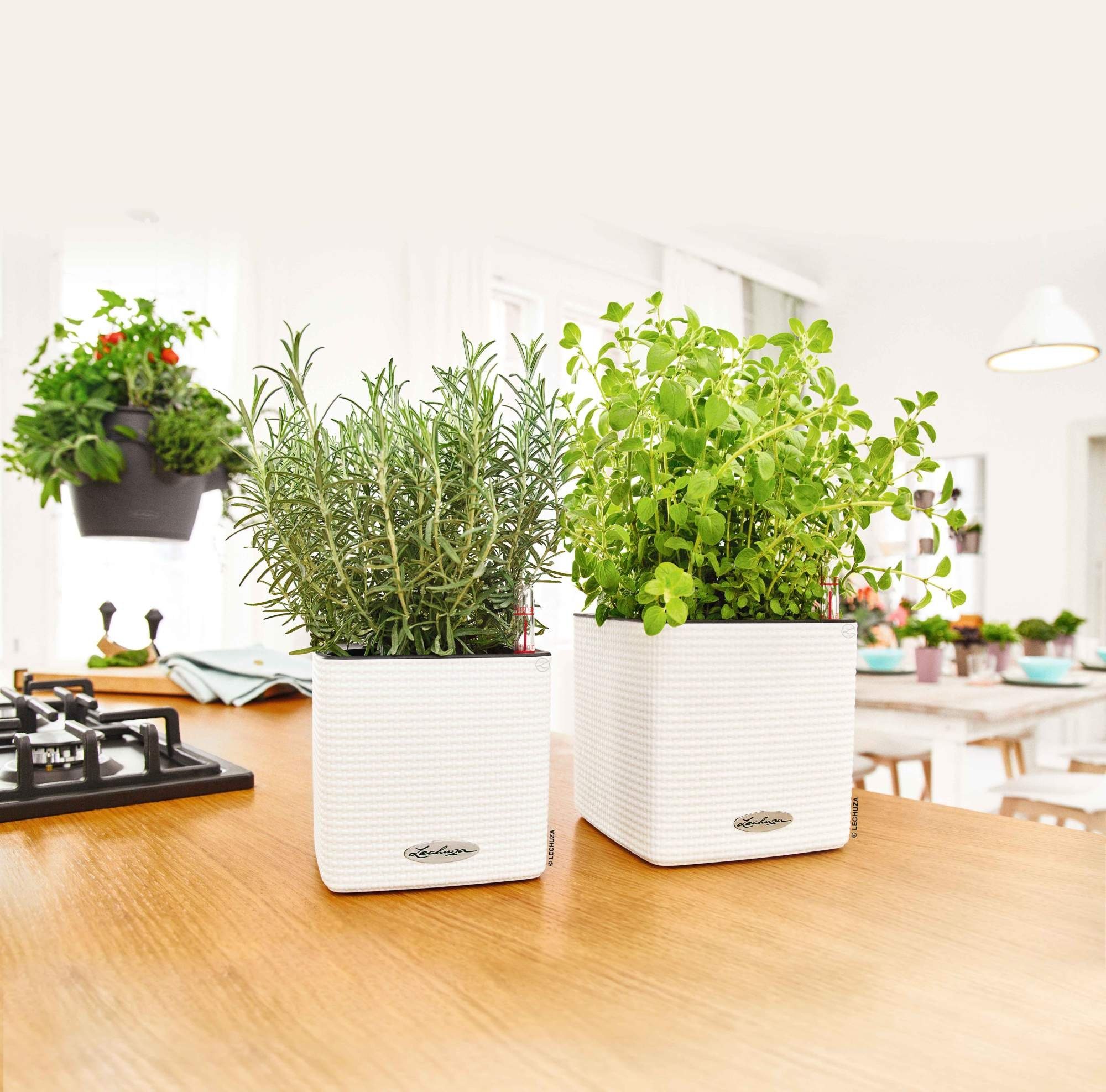 Lechuza® Blumentopf Cube Color 16 - weiß AIO Komplettset – Bild 4 von 5