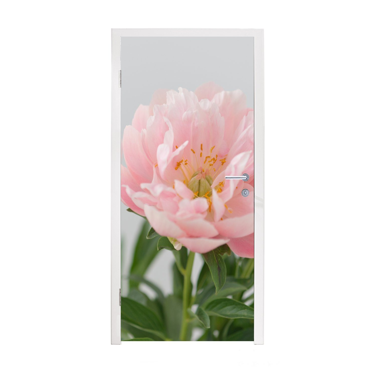 MuchoWow Türtapete Blumenstrauß aus rosa Pfingstrosen, Matt, bedruckt, (1 St), Fototapete für Tür, Türaufkleber, 75x205 cm