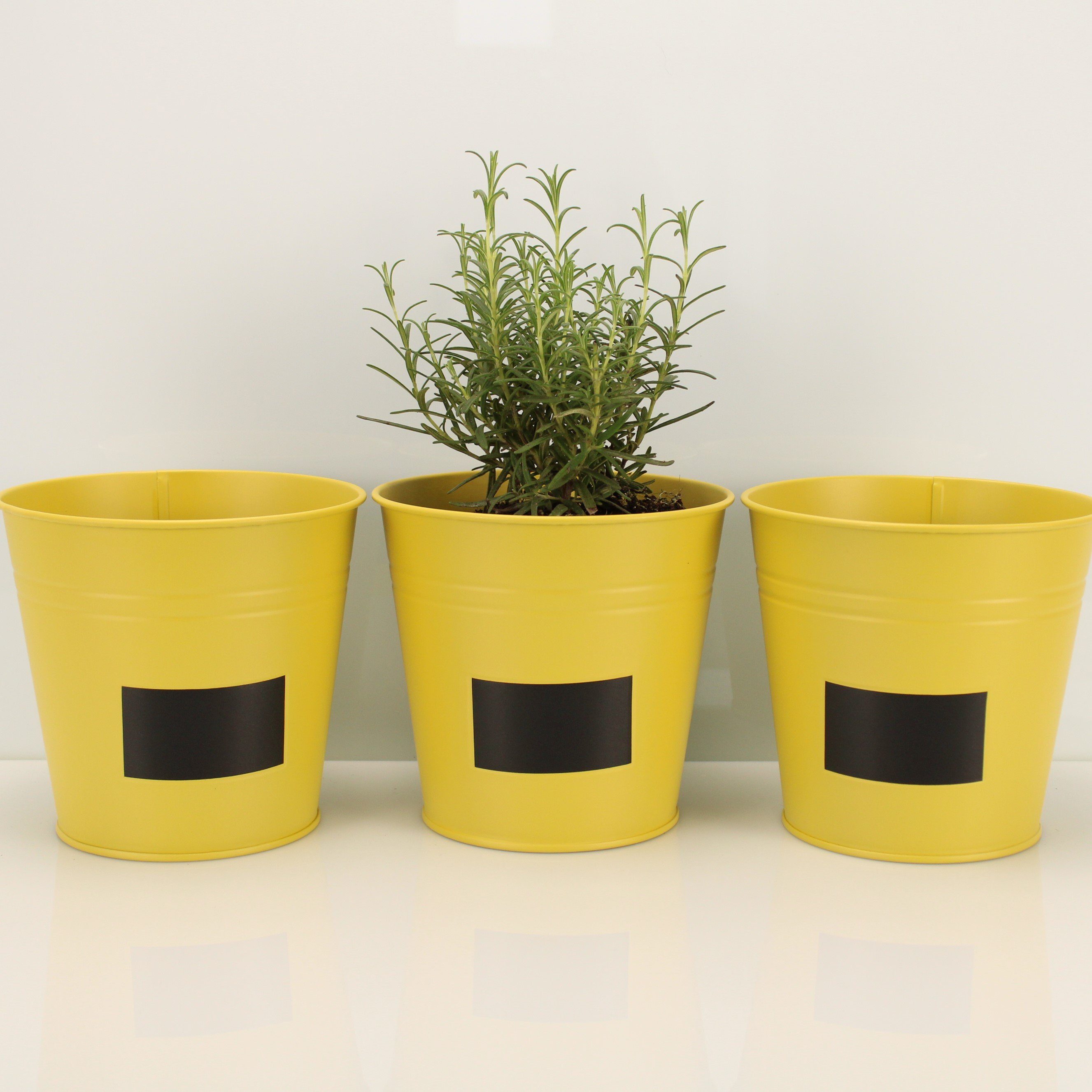 Online-Fuchs Blumentopf 3er Set runde Blumentöpfe zum Beschriften im Set - Kräutertopf (3er Set), Metall