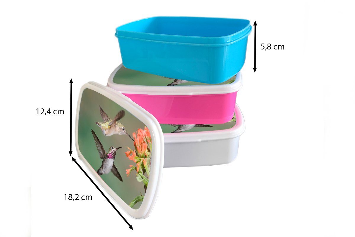 Erwachsene, Kinder Lunchbox Brotbox - MuchoWow weiß und für - Brotdose, Mädchen und Blume, Jungs Kolibri für Vogel (2-tlg), Kunststoff,