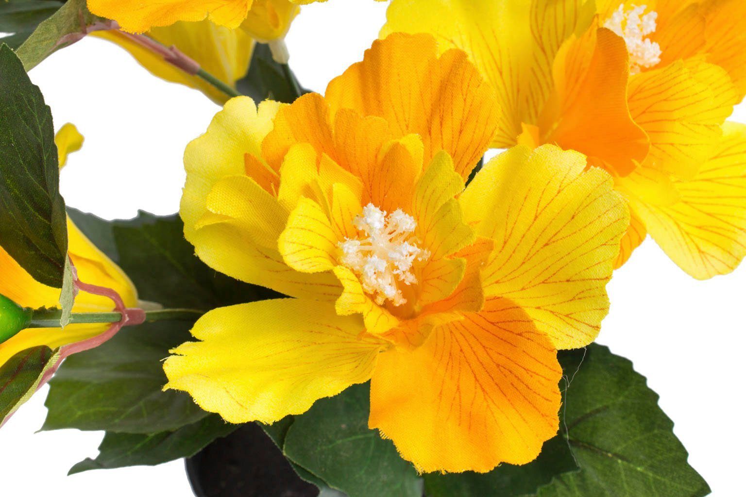 Kunstblume Hibiskus im Topf Hibiskus, Botanic-Haus, Höhe 27 cm – Bild 2 von 2
