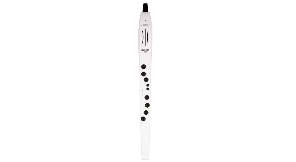 Blockflöte CARRY-ON-DWI2-PRO