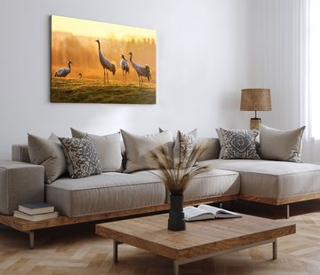 Sinus Art Leinwandbild 120x80cm Wandbild auf Leinwand Tierfotografie Kraniche Natur Sonnenunt, (1 St)