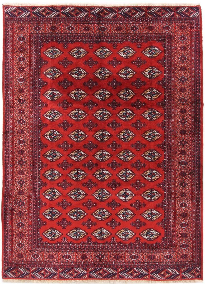 Orientteppich Turkaman 209x290 Handgeknüpfter Orientteppich / Perserteppich, Nain Trading, rechteckig, Höhe: 6 mm