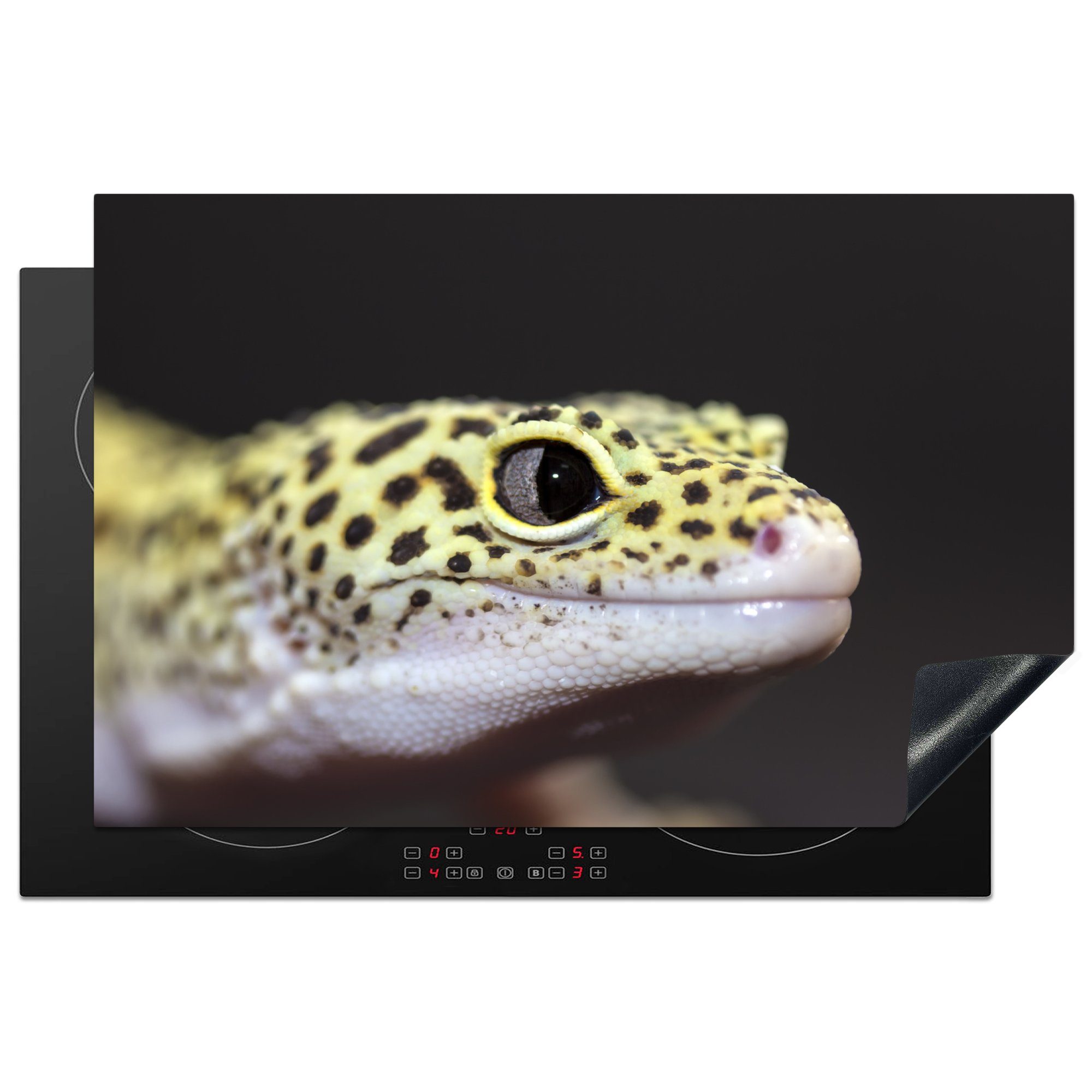 MuchoWow Herdblende-/Abdeckplatte Gecko mit Leopardenmuster, Vinyl, (1 tlg), 81x52 cm, Induktionskochfeld Schutz für die küche, Ceranfeldabdeckung