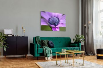 Sinus Art Leinwandbild 120x80cm Wandbild auf Leinwand Blume Blüte Violett Nahaufnahme Kunstvo, (1 St)