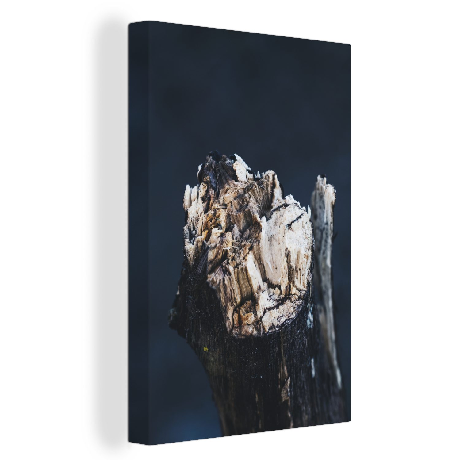 OneMillionCanvasses® Leinwandbild Holz - Baum - Abstrakt, (1 St), Leinwandbild fertig bespannt inkl. Zackenaufhänger, Gemälde, 20x30 cm