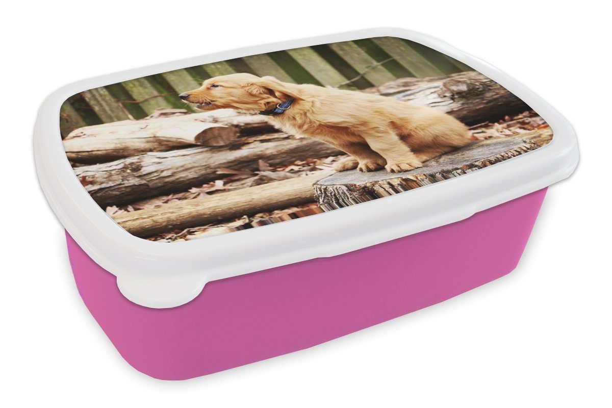 Mädchen, Kunststoff, Brotbox Erwachsene, - Natur, Snackbox, - Kinder, (2-tlg), für Brotdose rosa Zweig Kunststoff Lunchbox MuchoWow Hund