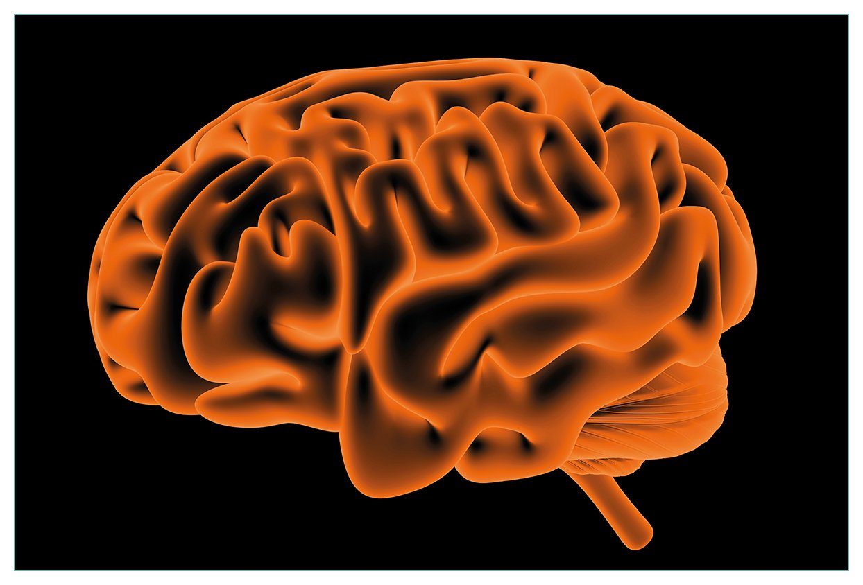 Küchenrückwand (1-tlg) orangener leuchtend Farbe, Menschliches Wallario in Gehirn