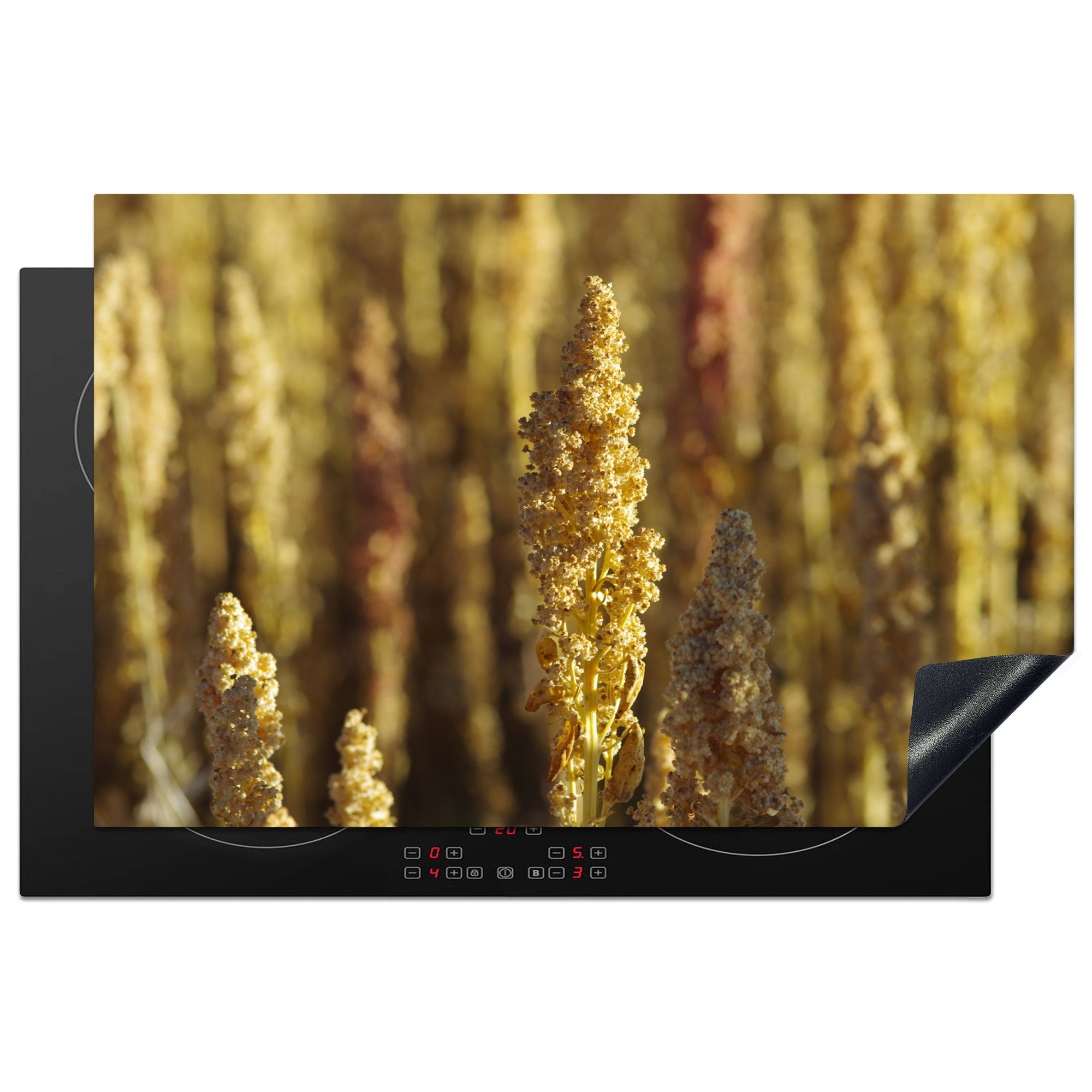 MuchoWow Herdblende-/Abdeckplatte Bepflanzung mit der biologischen Goldquinoa-Pflanze, Vinyl, (1 tlg), 81x52 cm, Induktionskochfeld Schutz für die küche, Ceranfeldabdeckung