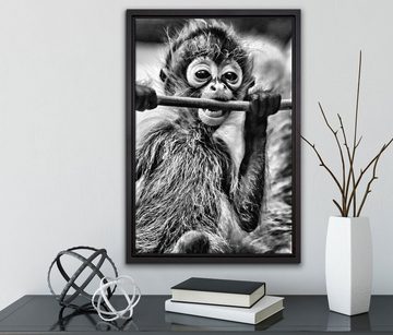 Pixxprint Leinwandbild kleines Affenbaby beim Essen, Wanddekoration (1 St), Leinwandbild fertig bespannt, in einem Schattenfugen-Bilderrahmen gefasst, inkl. Zackenaufhänger