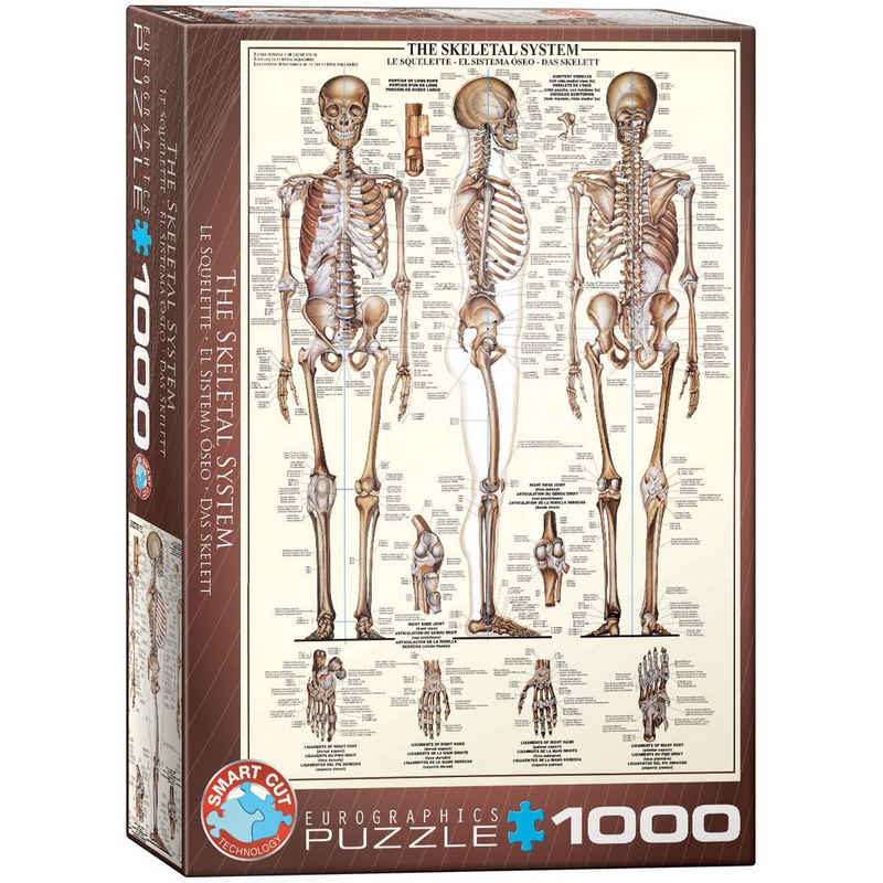 empireposter Puzzle Das menschliche Skelett - 1000 Teile Puzzle Format 68x48 cm., 1000 Puzzleteile