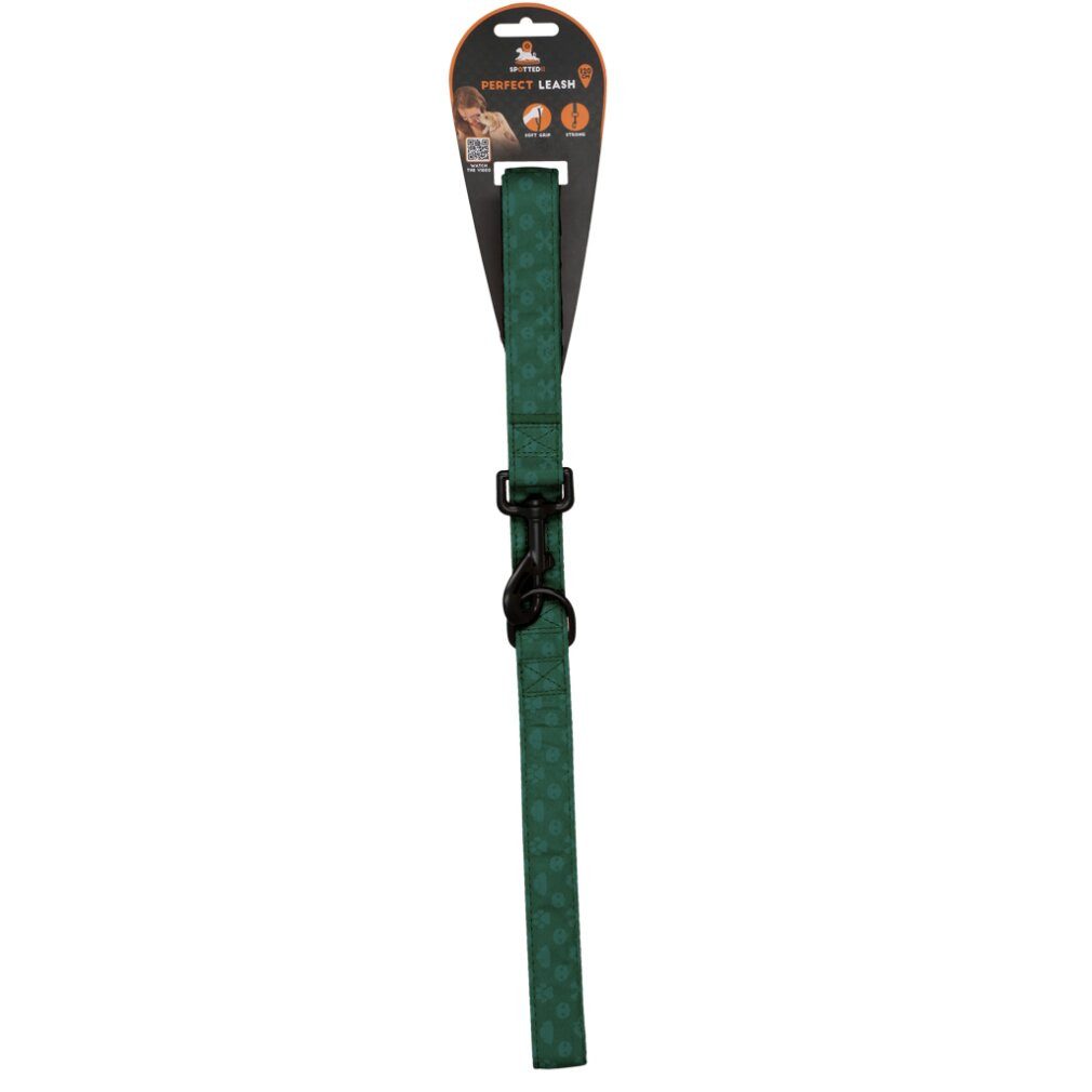 Spotted! Pro Hunde-Geschirr Leine Grun 120cm