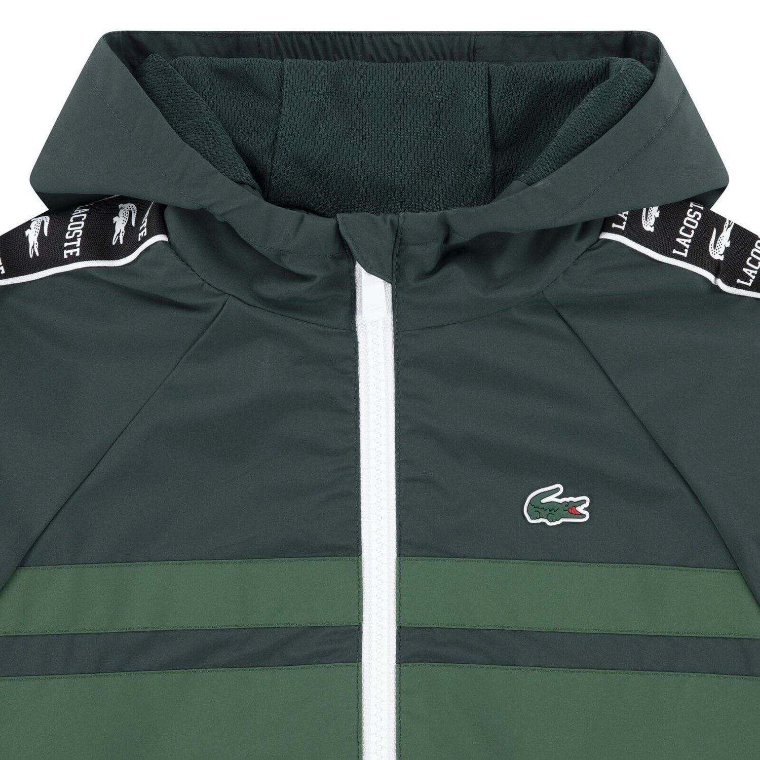 Lacoste Steppjacke Lacoste Kids Jacke grün mit Kapuze leicht, mit Logostreifen