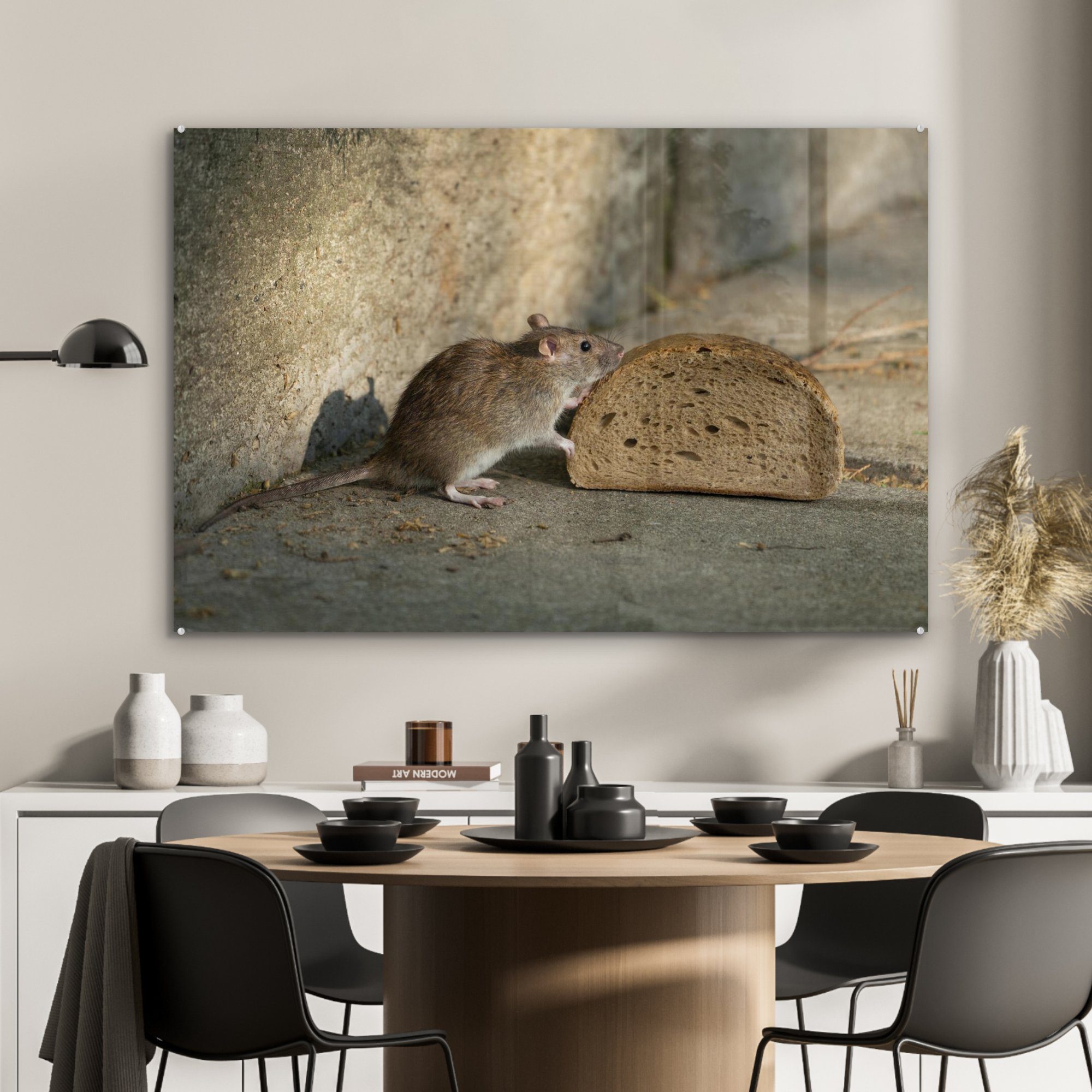 MuchoWow Ratte (1 Brot, Schlafzimmer St), Acrylglasbilder Acrylglasbild Wohnzimmer schnuppert an &