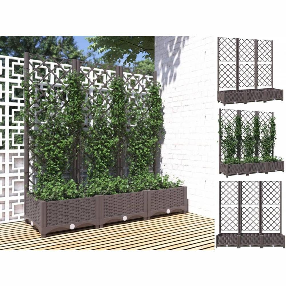 vidaXL Rankgitter Pflanzkübel mit Rankgitter Braun 120x40x121,5 cm