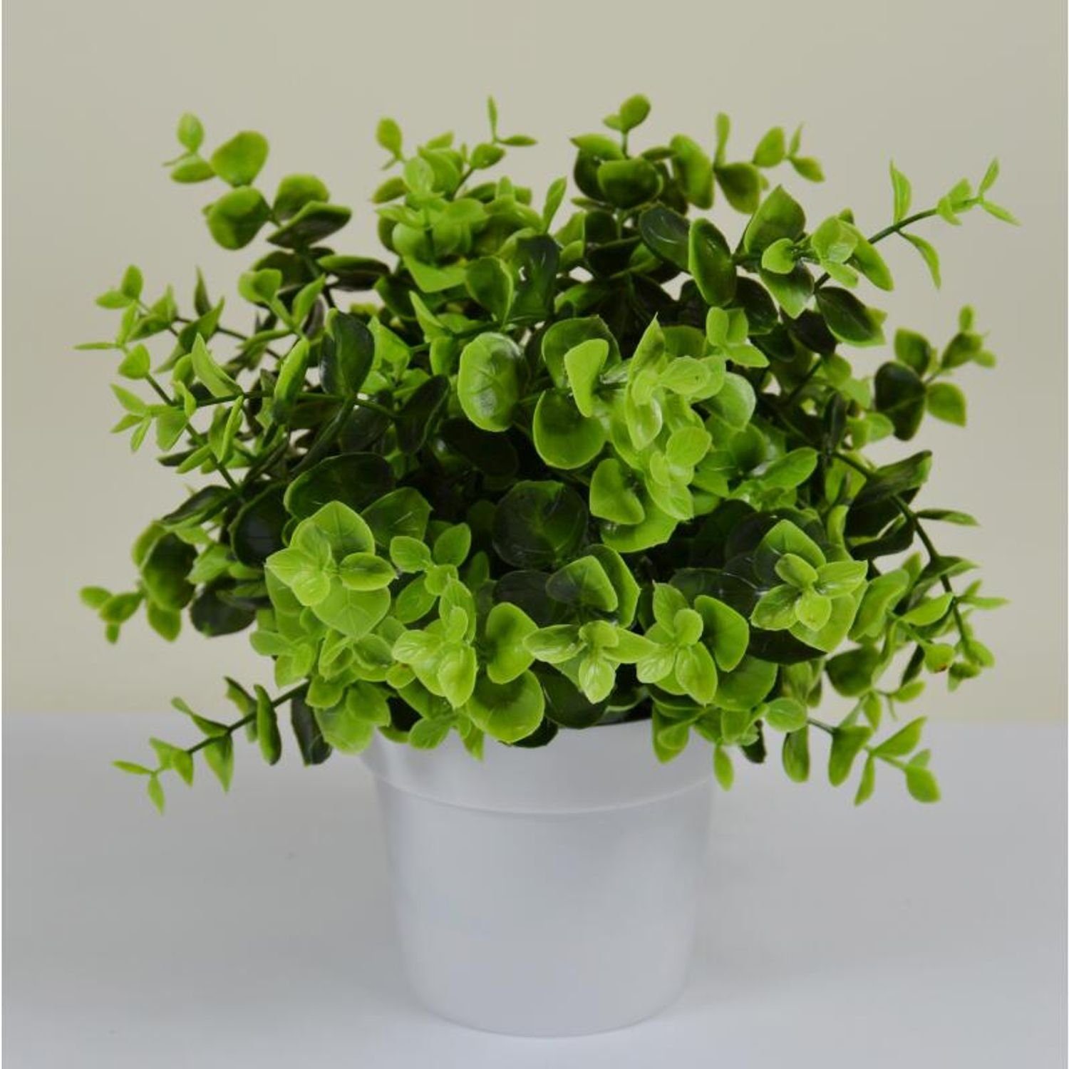Kunstpflanze 12 Stück künstliche Pflanze im Kunststofftopf 22cm Dekoration Pflanzen, BURI
