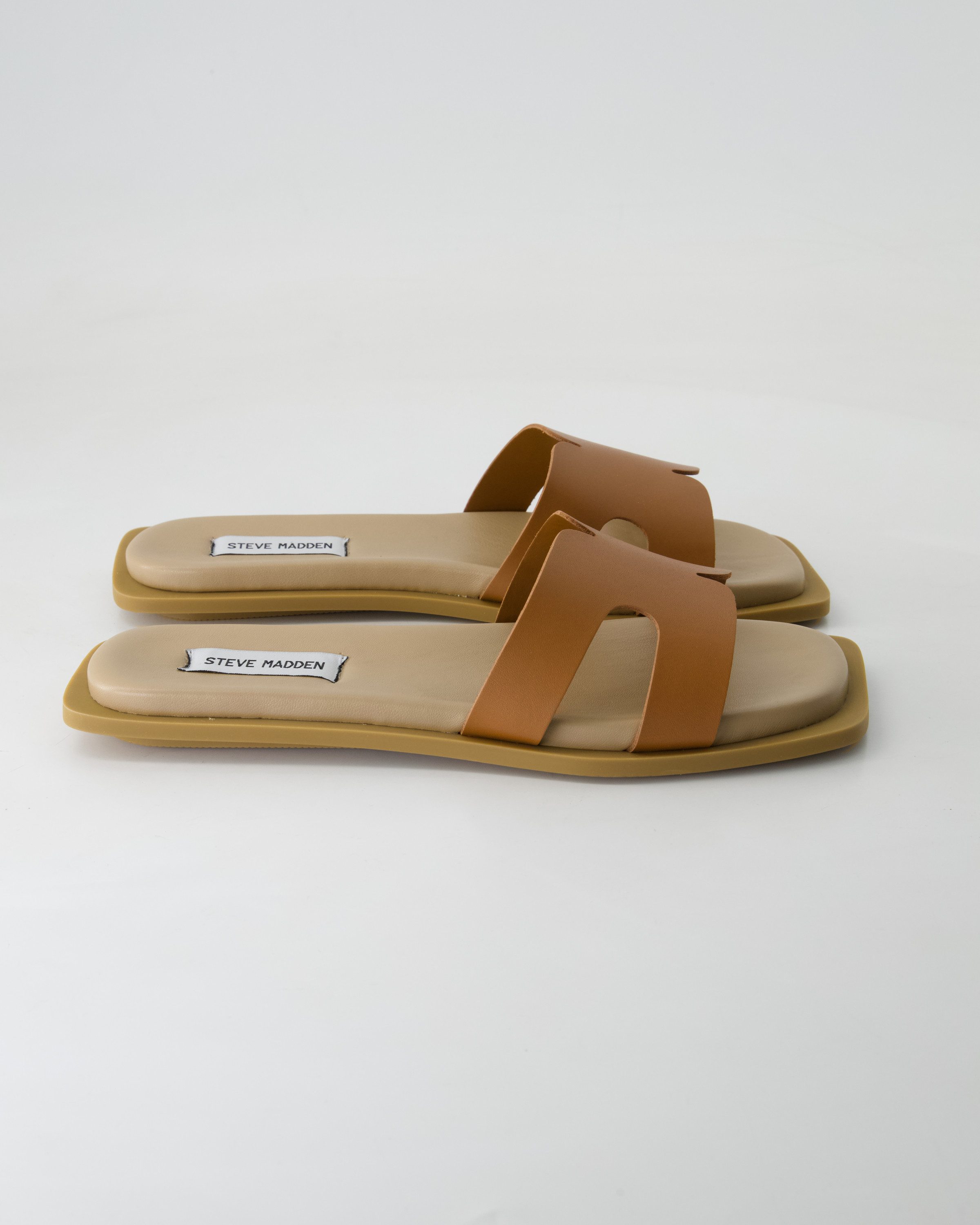 STEVE MADDEN Sofia Pantolette günstig online kaufen