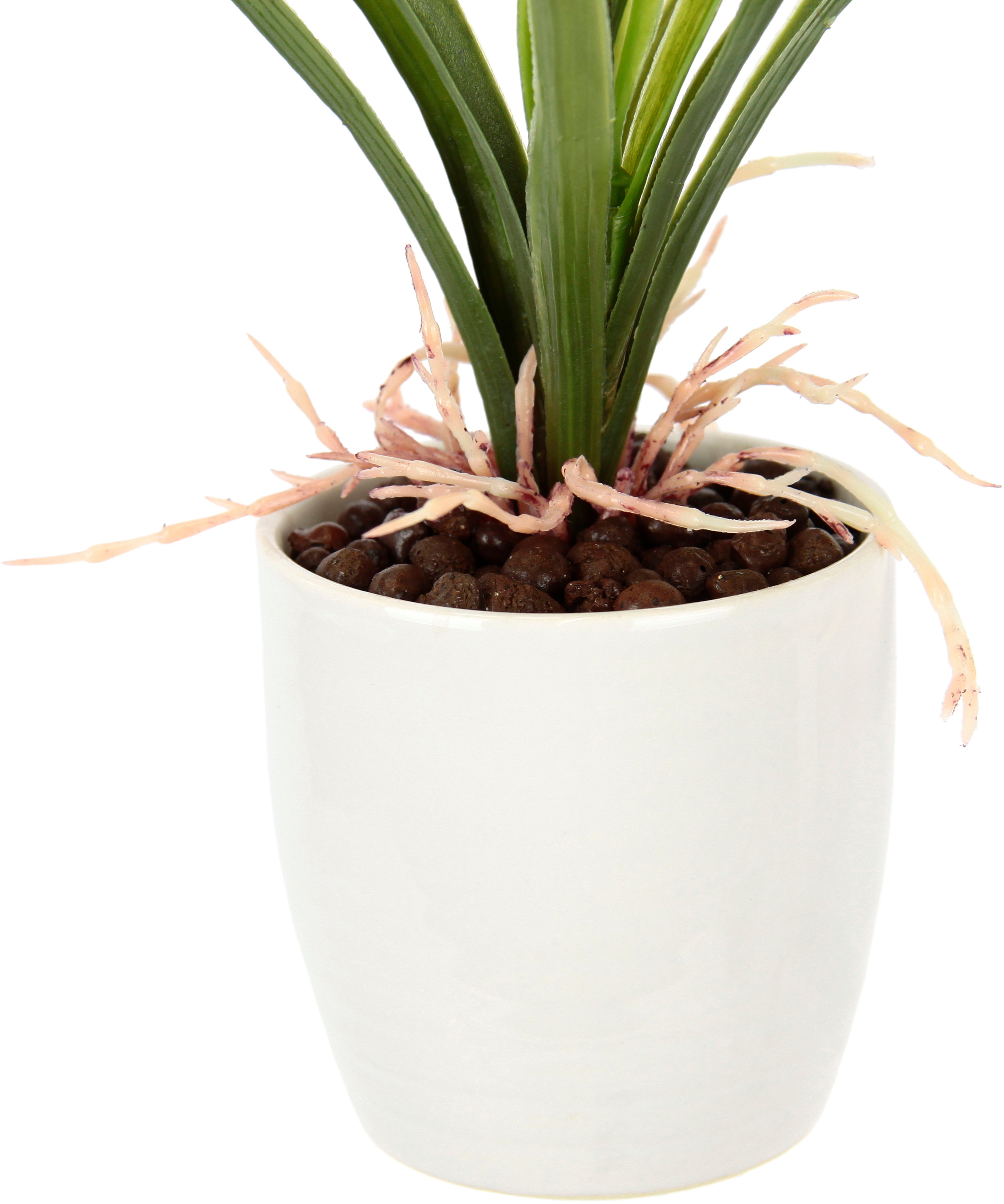 Kunstblume Orchidee, OTTO home, Höhe 32 cm, Mit Blätter im Topf aus Keramik Künstliche Blume Cymbidium-Orchidee
