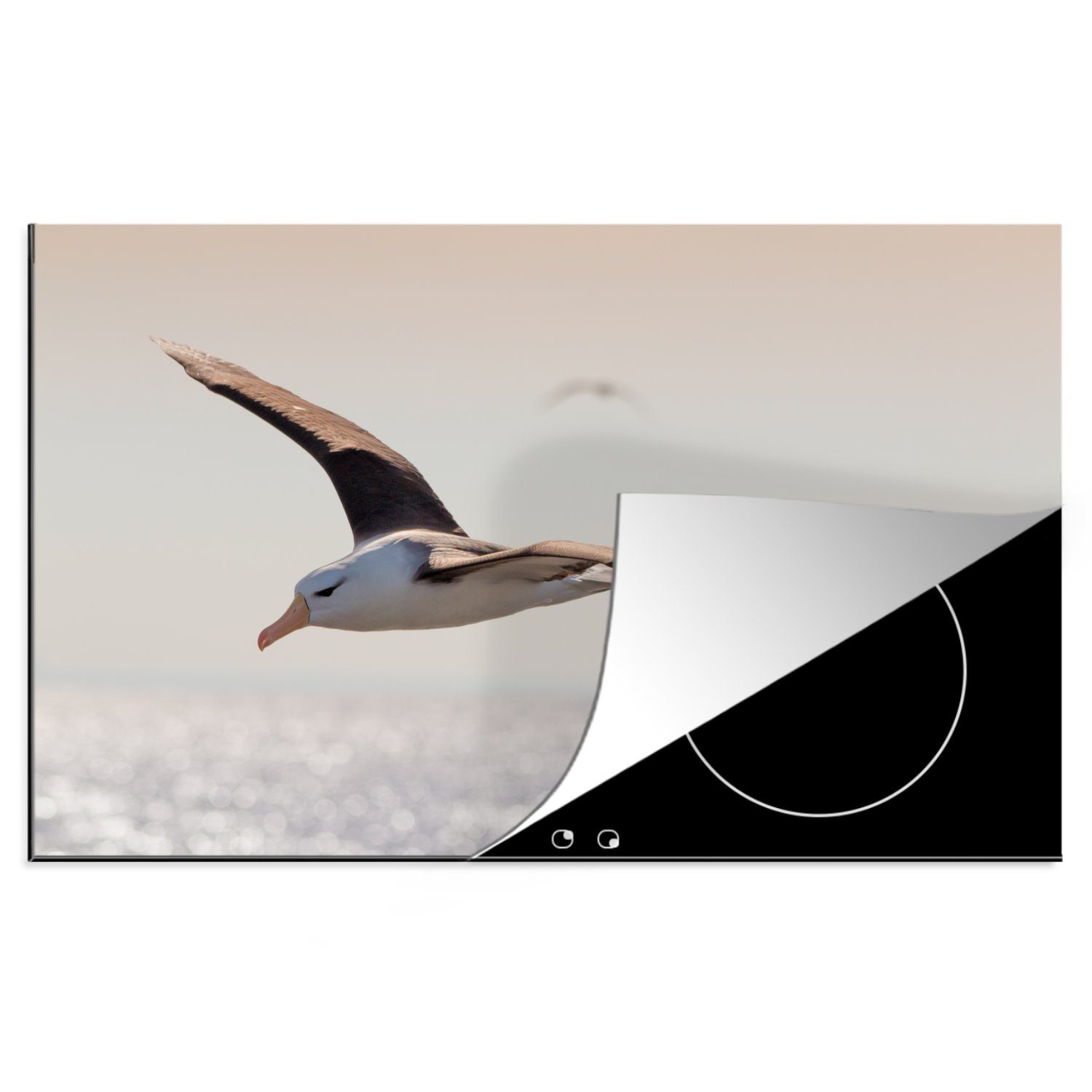 MuchoWow Herdblende-/Abdeckplatte Albatros - Schwarz - Vogel, Vinyl, (1 tlg), 81x52 cm, Induktionskochfeld Schutz für die küche, Ceranfeldabdeckung