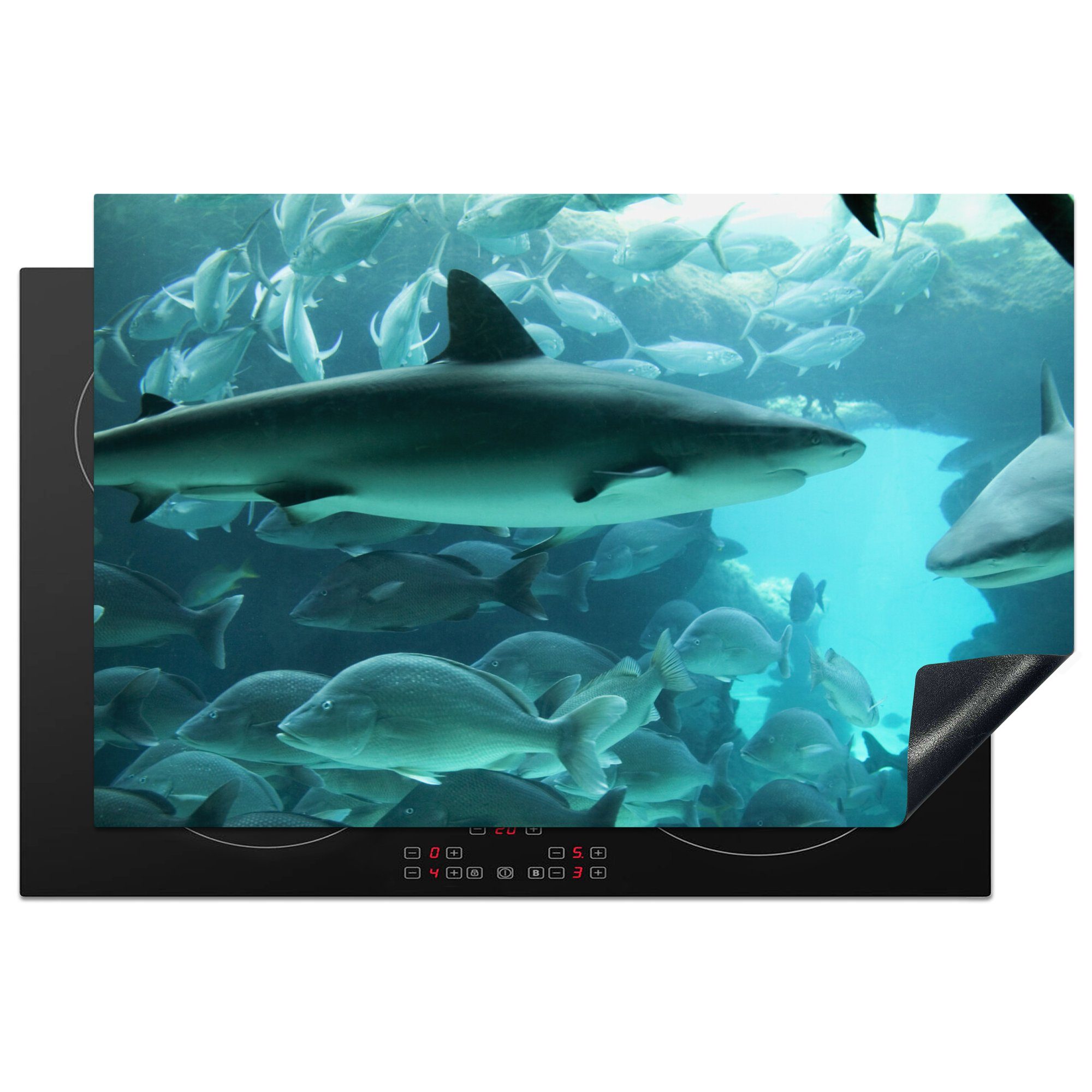 MuchoWow Herdblende-/Abdeckplatte Großer Hai in einem Aquarium, Vinyl, (1 tlg), 81x52 cm, Induktionskochfeld Schutz für die küche, Ceranfeldabdeckung