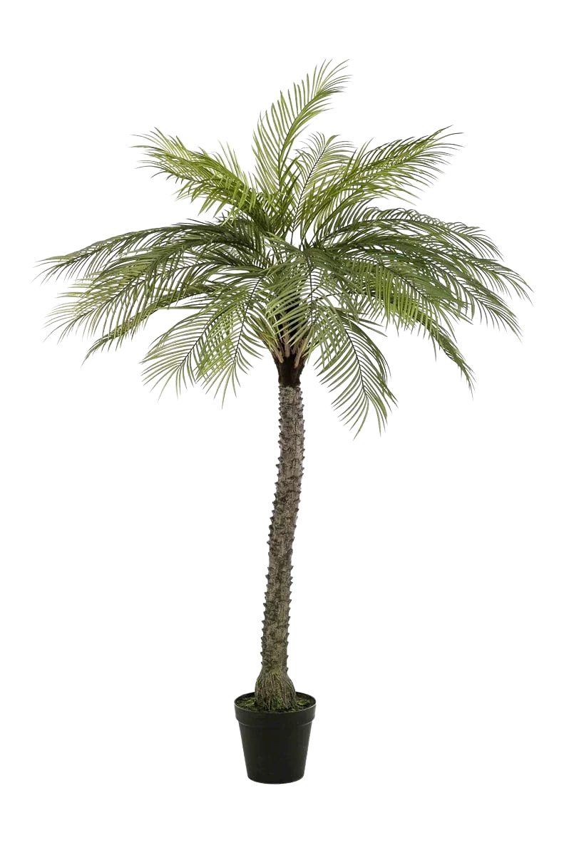 Kunstbaum Künstliche Phoenix Palme - Marun, 220 cm, Emerald, Höhe 220 cm