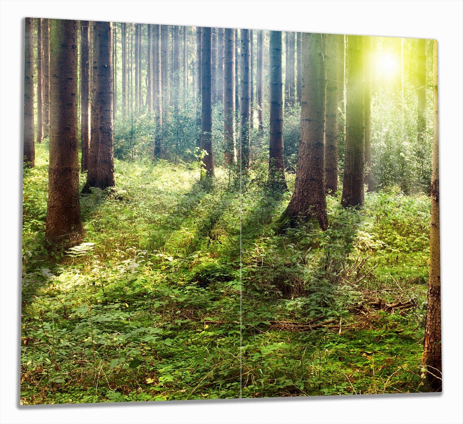 Wallario Herd-Abdeckplatte Sonnenuntergang im Wald zwischen den Bäumen, ESG-Sicherheitsglas, (Glasplatte, 2 tlg., inkl. 5mm Noppen), verschiedene Größen