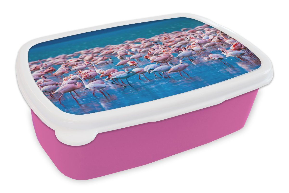 MuchoWow - Mädchen, Kinder, Kunststoff Erwachsene, (2-tlg), - Snackbox, Wasser Brotbox Rosa, - Lunchbox Brotdose Tropisch für Kunststoff, Flamingo