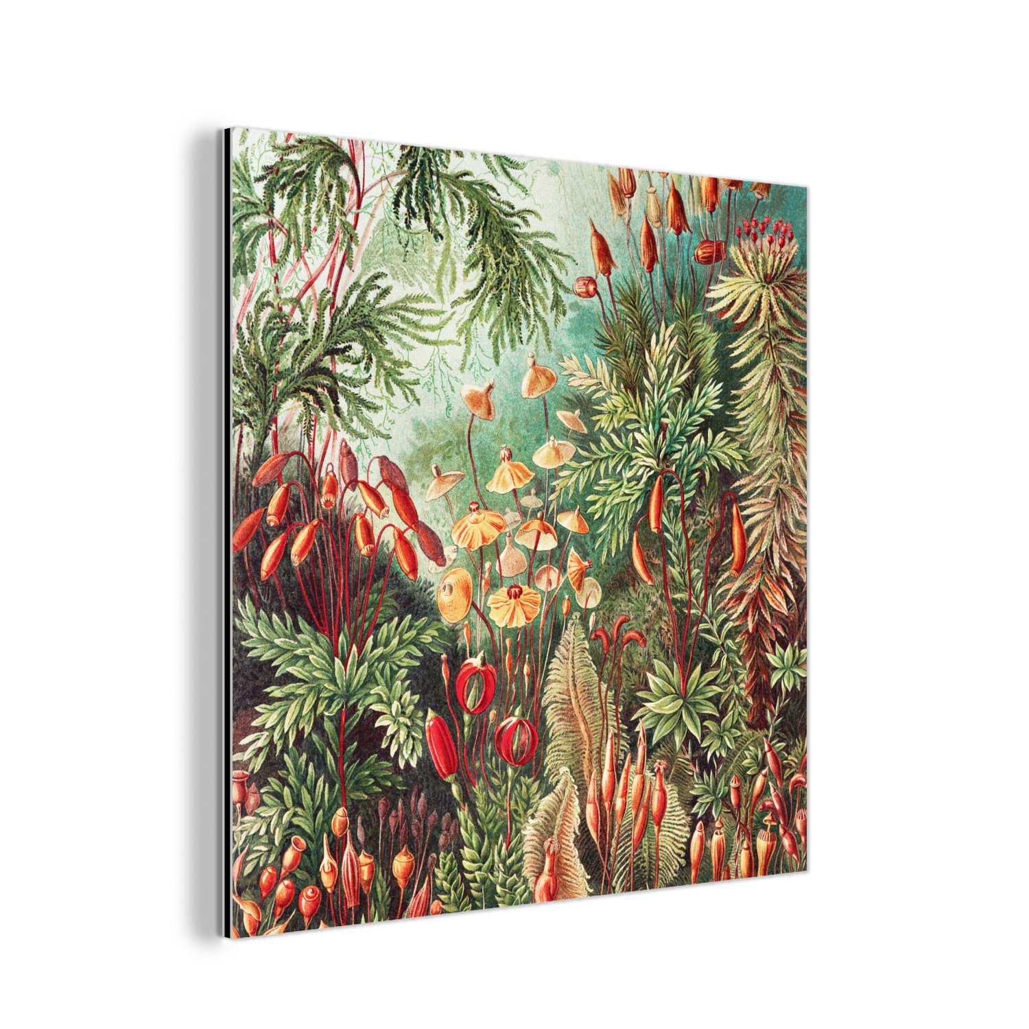 MuchoWow Metallbild Blumen - Kunst - Vintage - Natur - Botanisch, (1 St), Alu-Dibond-Druck, Gemälde aus Metall, Aluminium deko