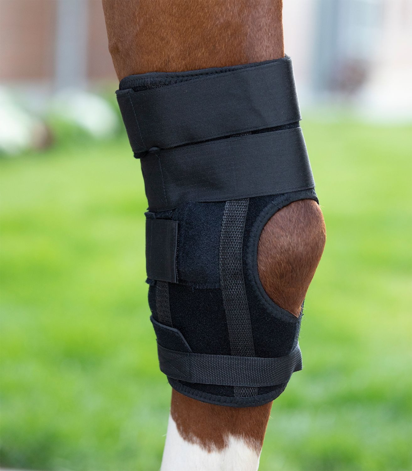 Waldhausen Gamaschen Waldhausen Health + Care Gamasche Sprunggelenk