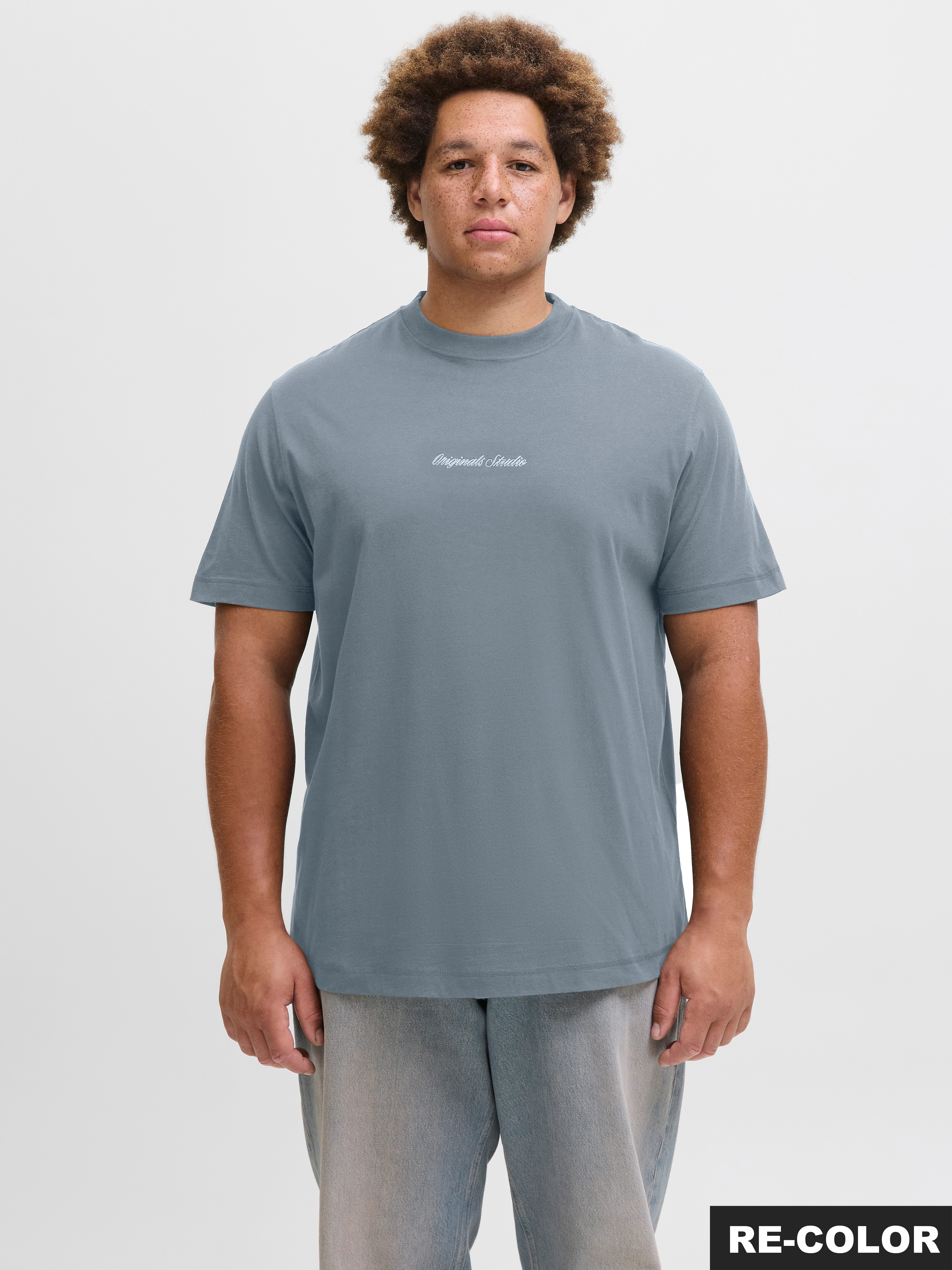 Jack & Jones PlusSize T-Shirt JORNORREBRO EMB TEE SS CREW NECK PLS günstig online kaufen