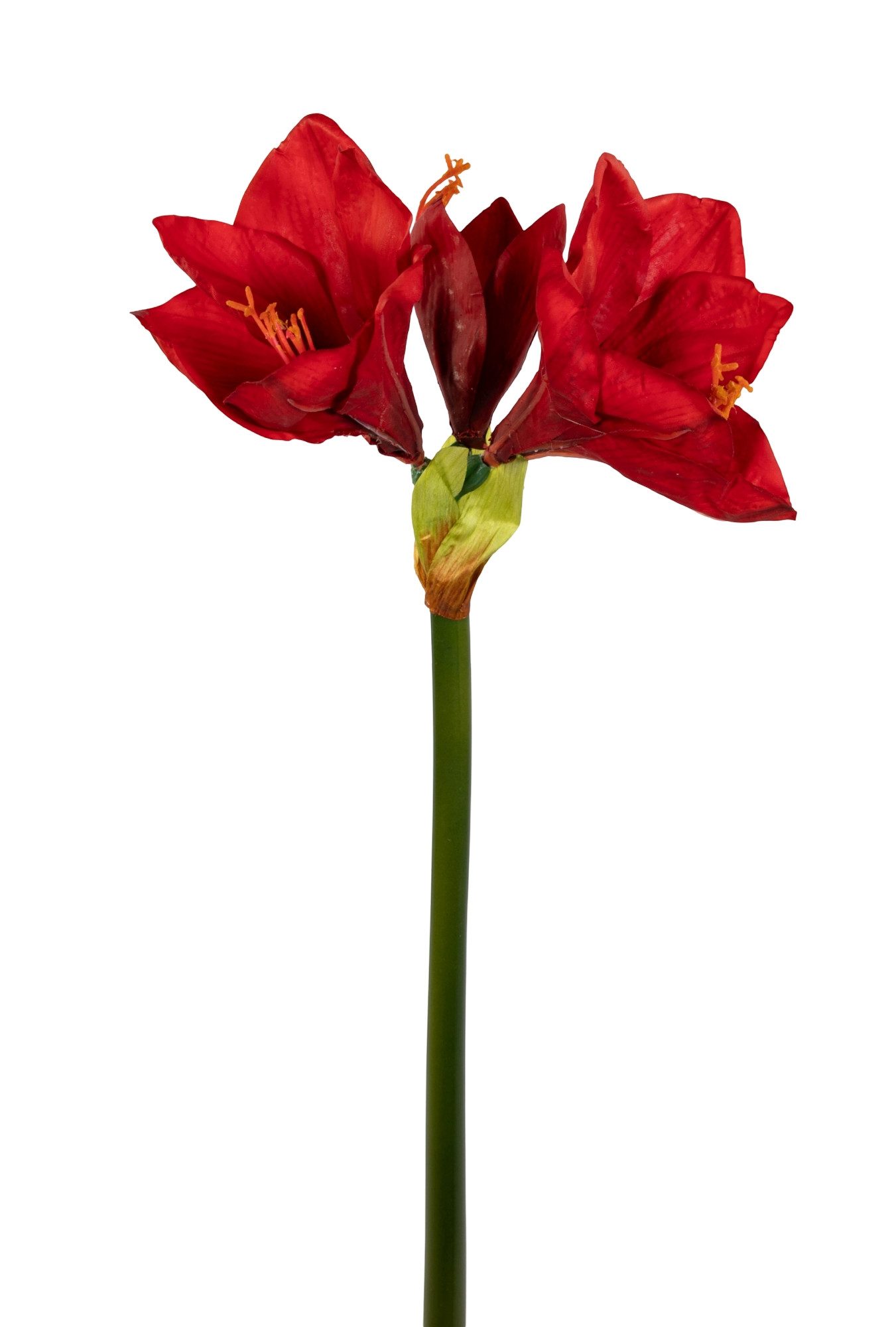 Kunstblume Amaryllis Real Touch 68cm GA Dekoblumen künstliche Blumen Ritter günstig online kaufen