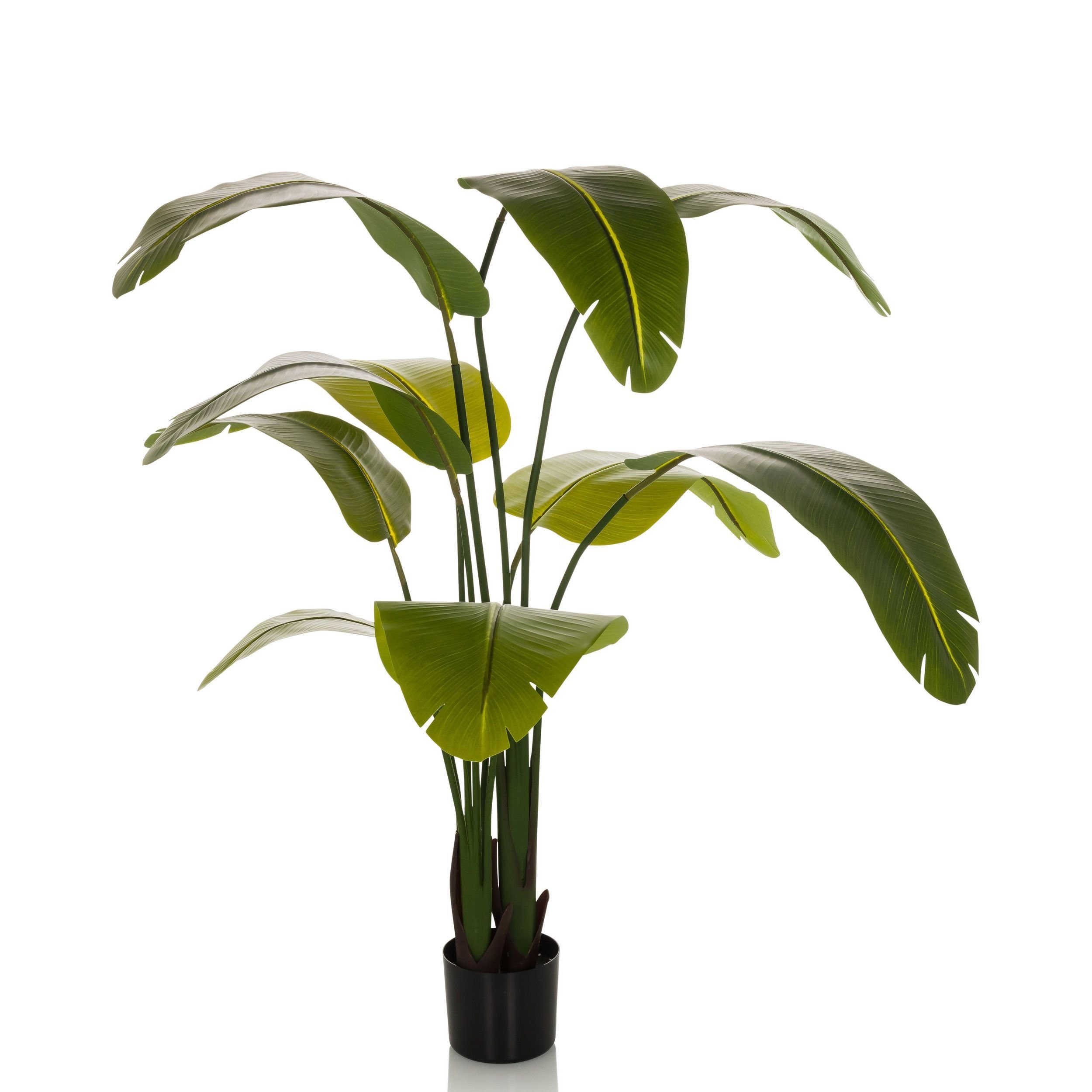 Künstliche Zimmerpflanze Deko Pflanzen, bümö, Höhe 170 cm, Kunstpflanze: Banane / Musa für innen- und außen