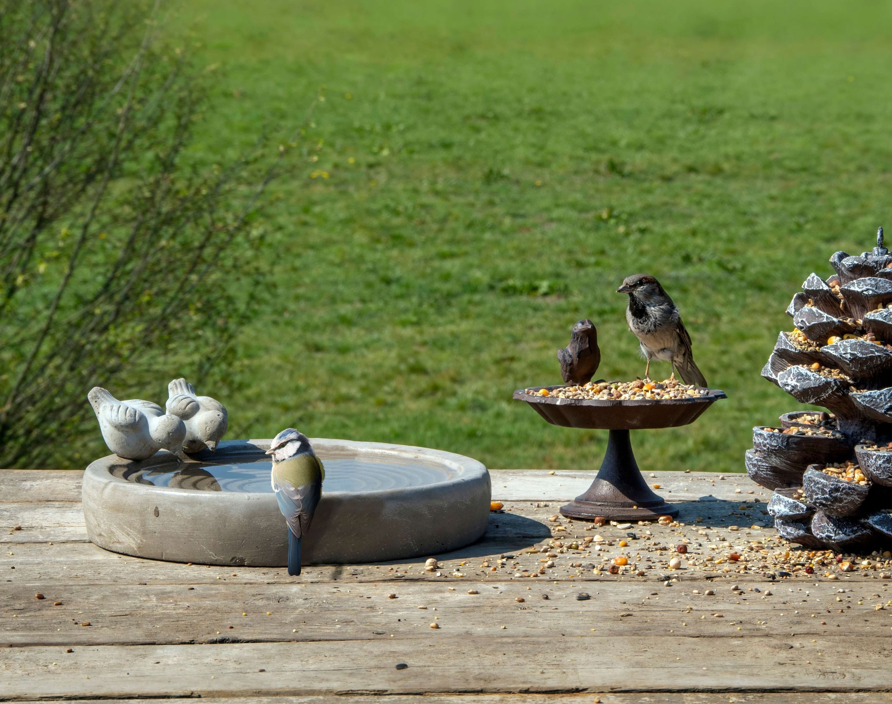 esschert design Vogeltränke Vogeltränke Vogelbad Vogelbecken Futterschale Beton Wasserstelle