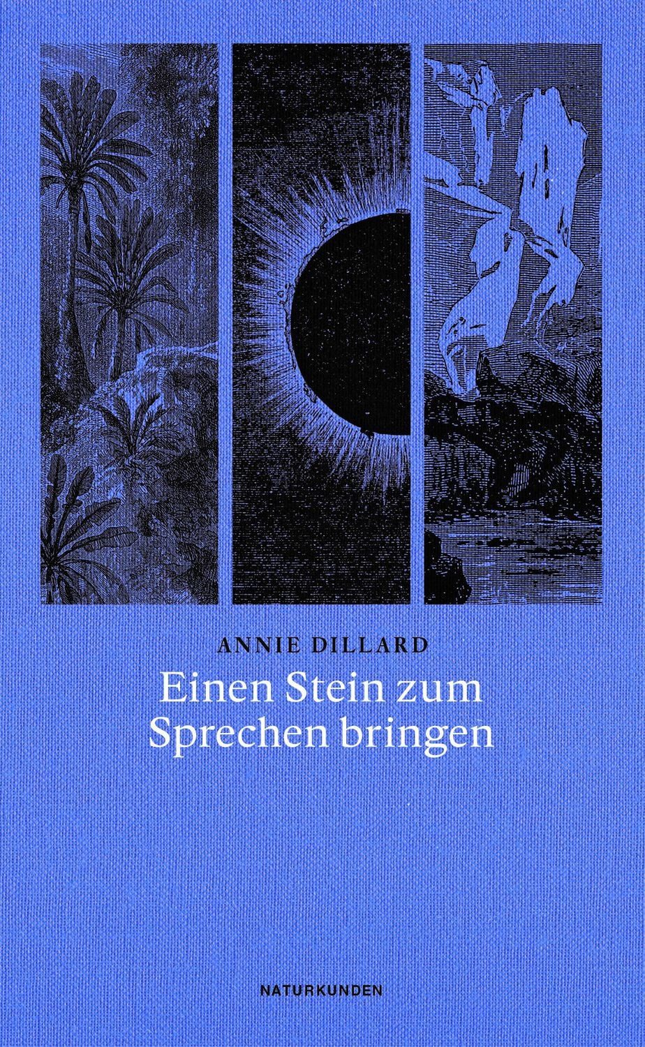 Einen Stein zum Sprechen bringen / Annie Dillard
