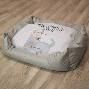 Mr. & Mrs. Panda Tierbett Prager Rattler Lebensretter - Grau Pastell - Geschenk, Hundekörbchen, Ultrabequem & einzigartig