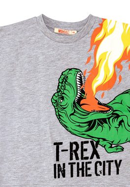 Denokids Trainingsanzug T-Rex Flame (2-tlg), mit Dinosaurier-Print
