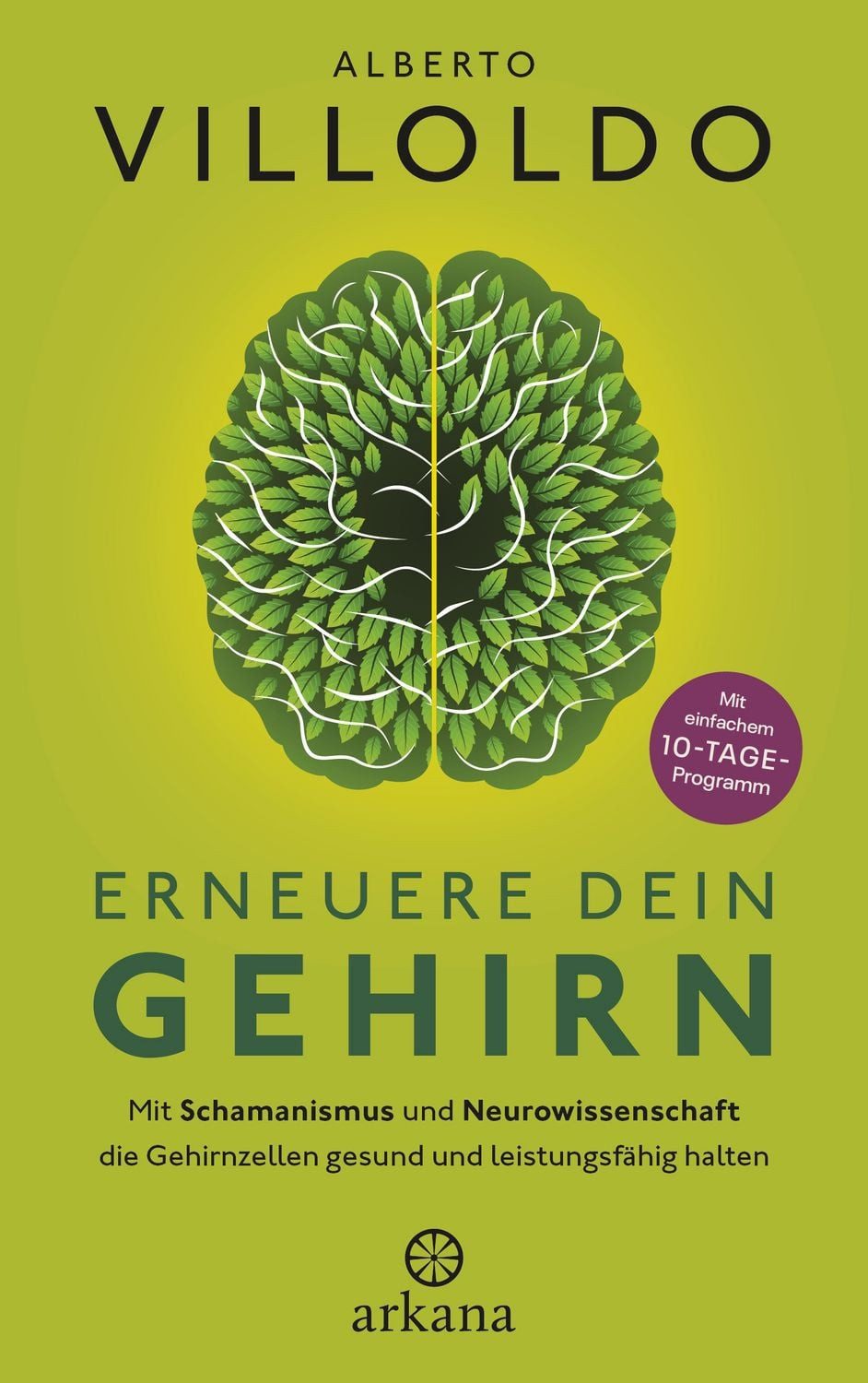 Erneuere dein Gehirn / Alberto Villoldo