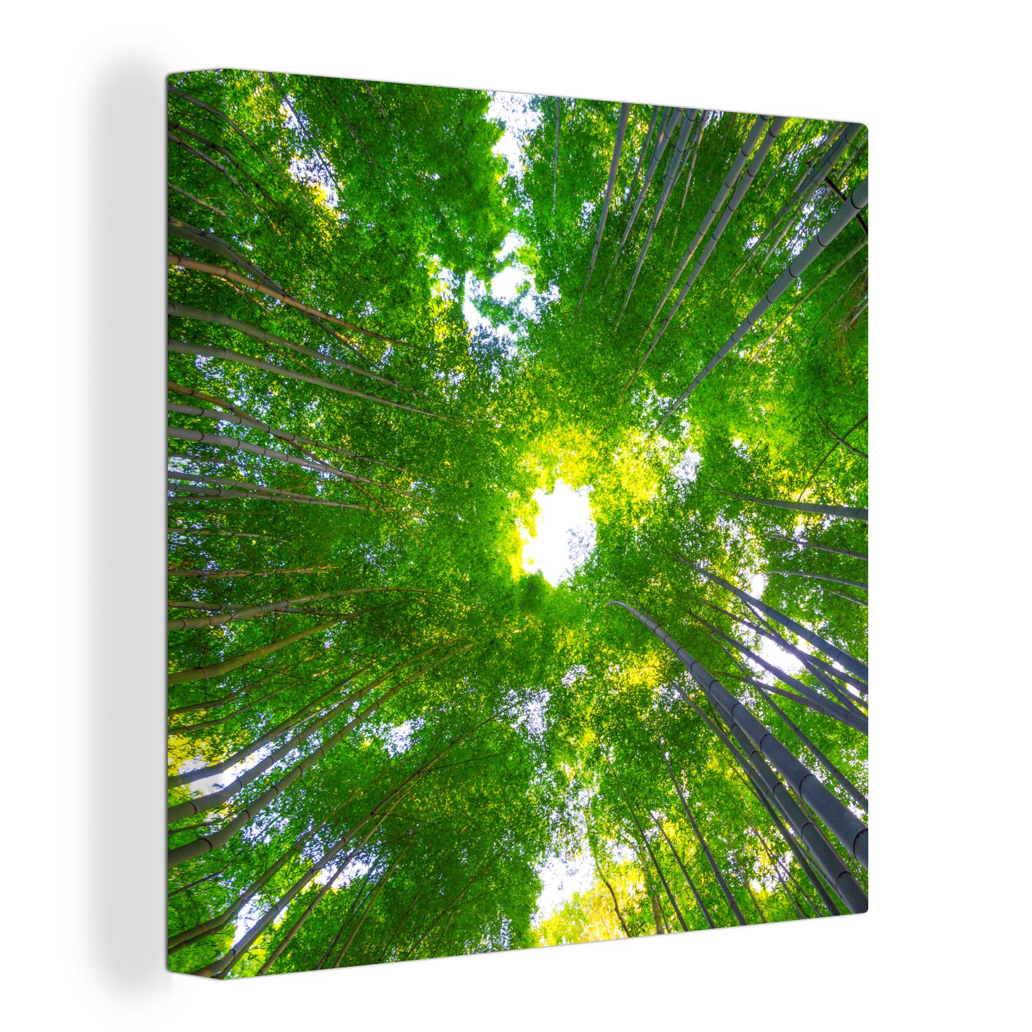 OneMillionCanvasses® Leinwandbild Baumkronen im Arashiyama-Bambuswald, (1 St), Leinwand Bilder für Wohnzimmer Schlafzimmer