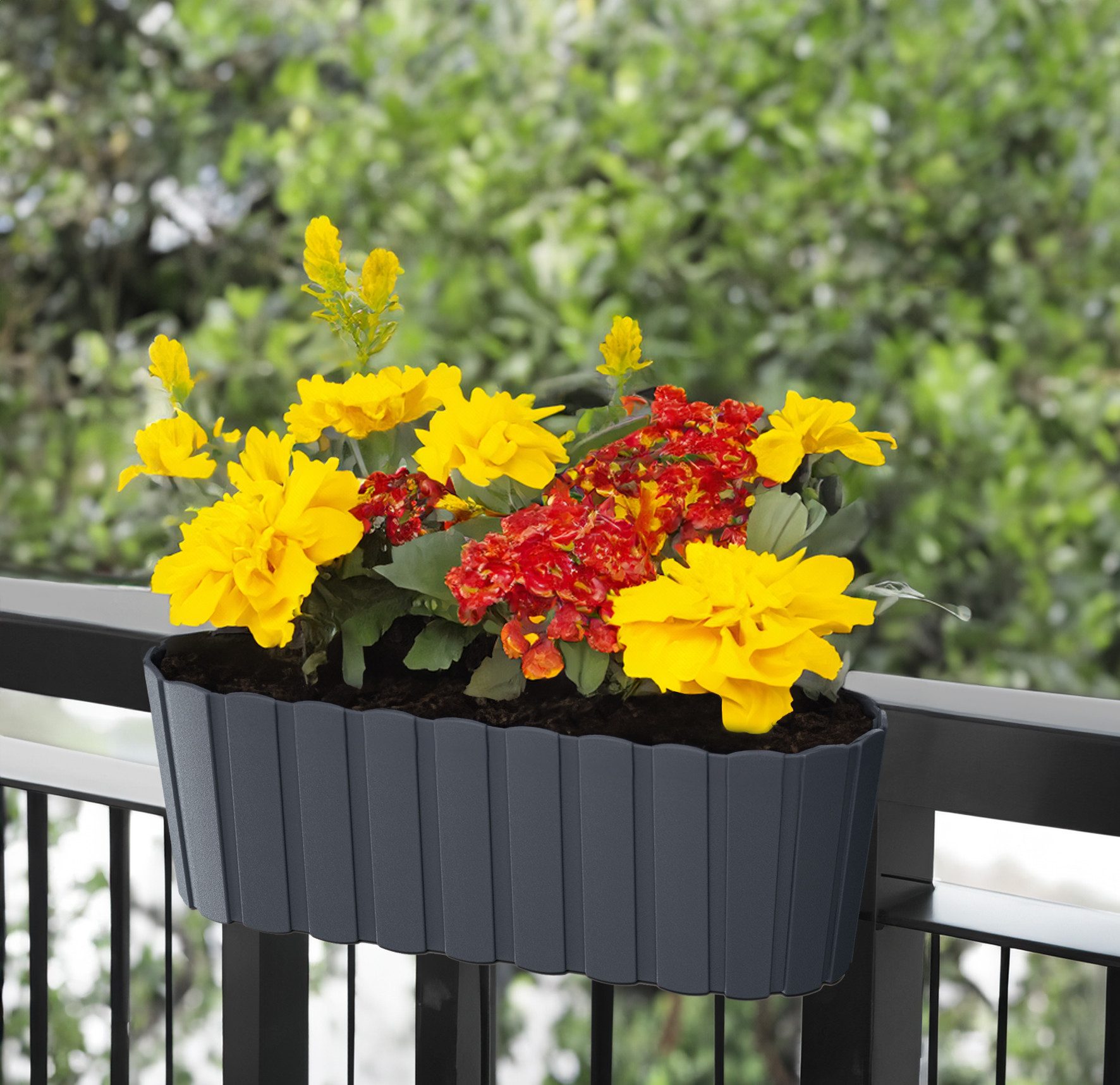Spetebo Pflanzschale Balkon Blumenkasten mit Halterung 39 x 13 cm (Set, 6 St., Balkon Blumenkästen), Kunststoff Geländer Pflanztopf in anthrazit – Bild 4 von 4