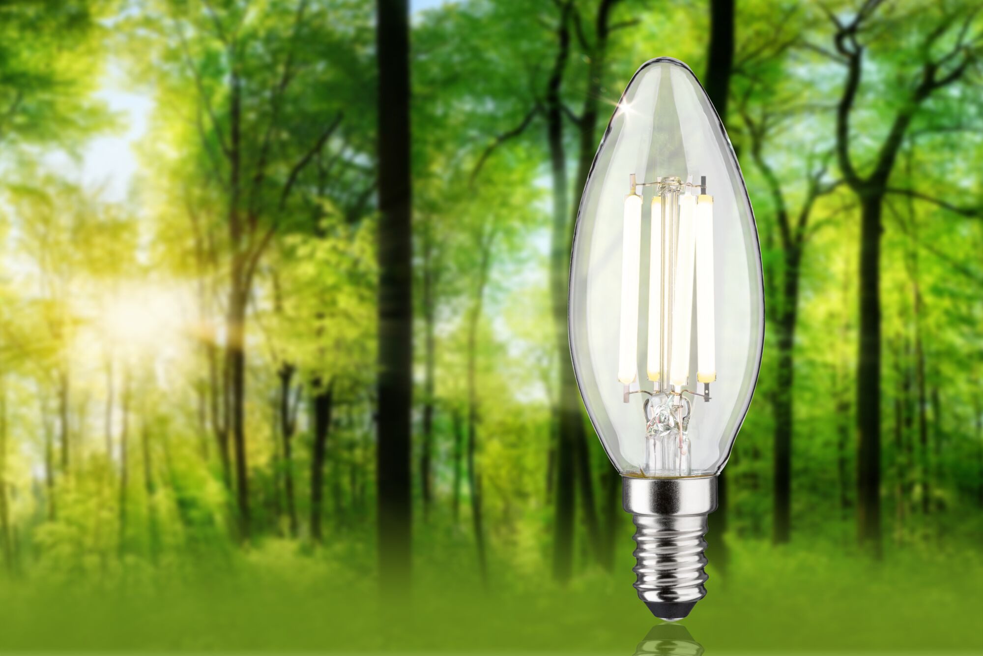 Paulmann LED-Leuchtmittel Efficient-Line Kerze 840lm 4W 4000K klar 230V, E14, 1 St., Neutralweiß – Bild 2 von 5