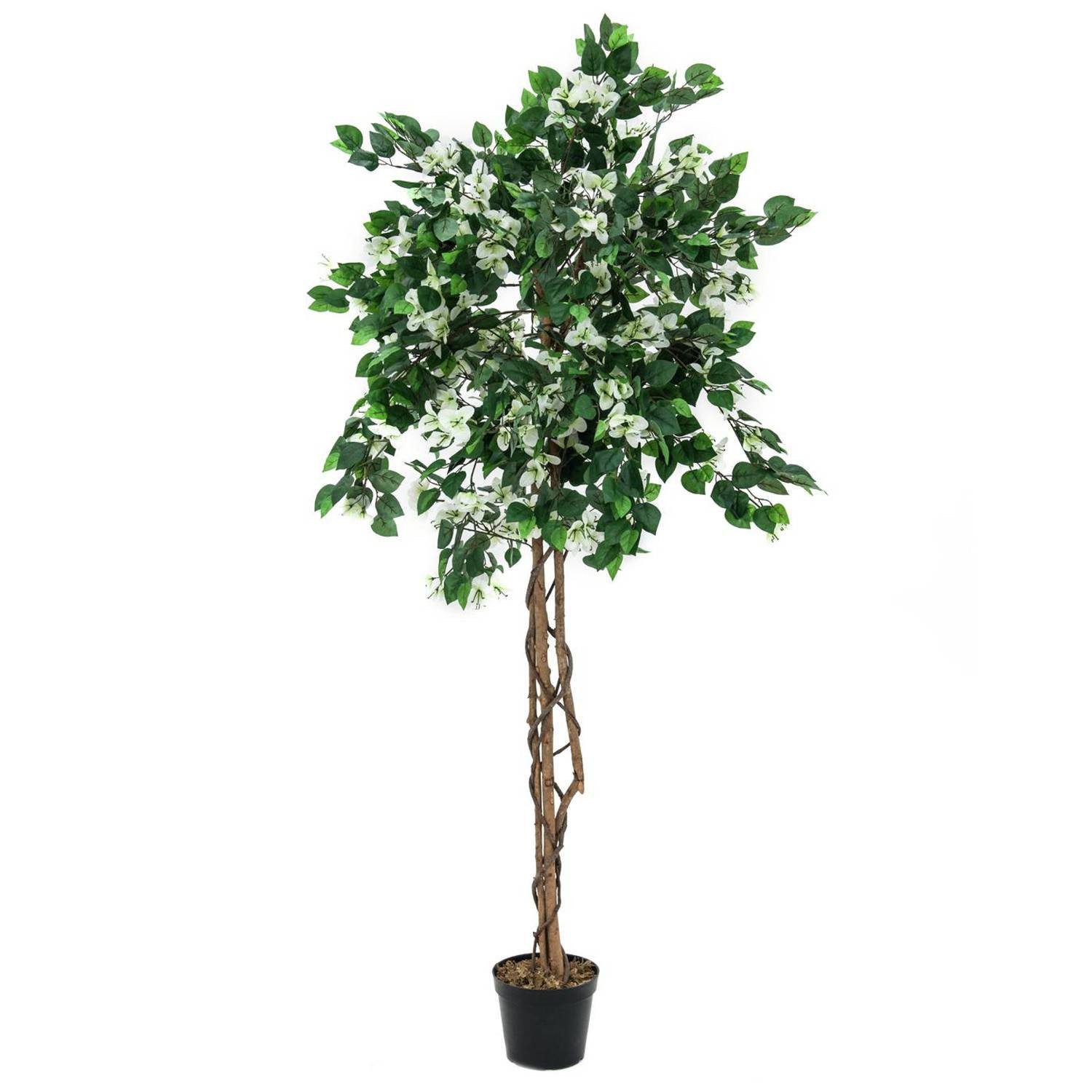 Kunstbaum Künstliche Bougainvillea, 1200 Blätter, 500 Blüten, weiß, 180cm Bougainvillea, artplants, Höhe 180.0 cm