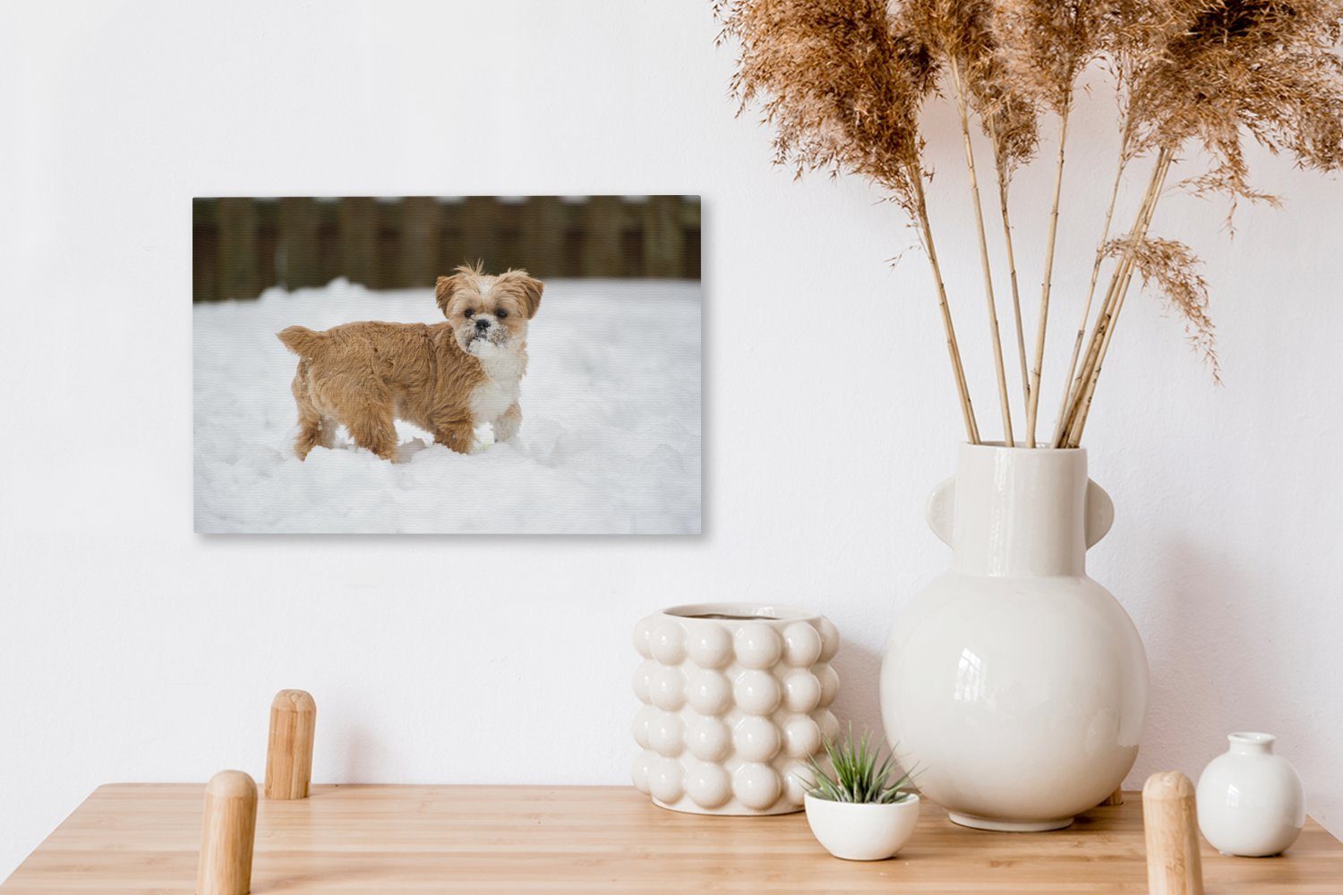 30x20 Schnee, Hund Shih Wandbild cm Aufhängefertig, spielt St), OneMillionCanvasses® im Leinwandbild (1 Leinwandbilder, Tzu Wanddeko,