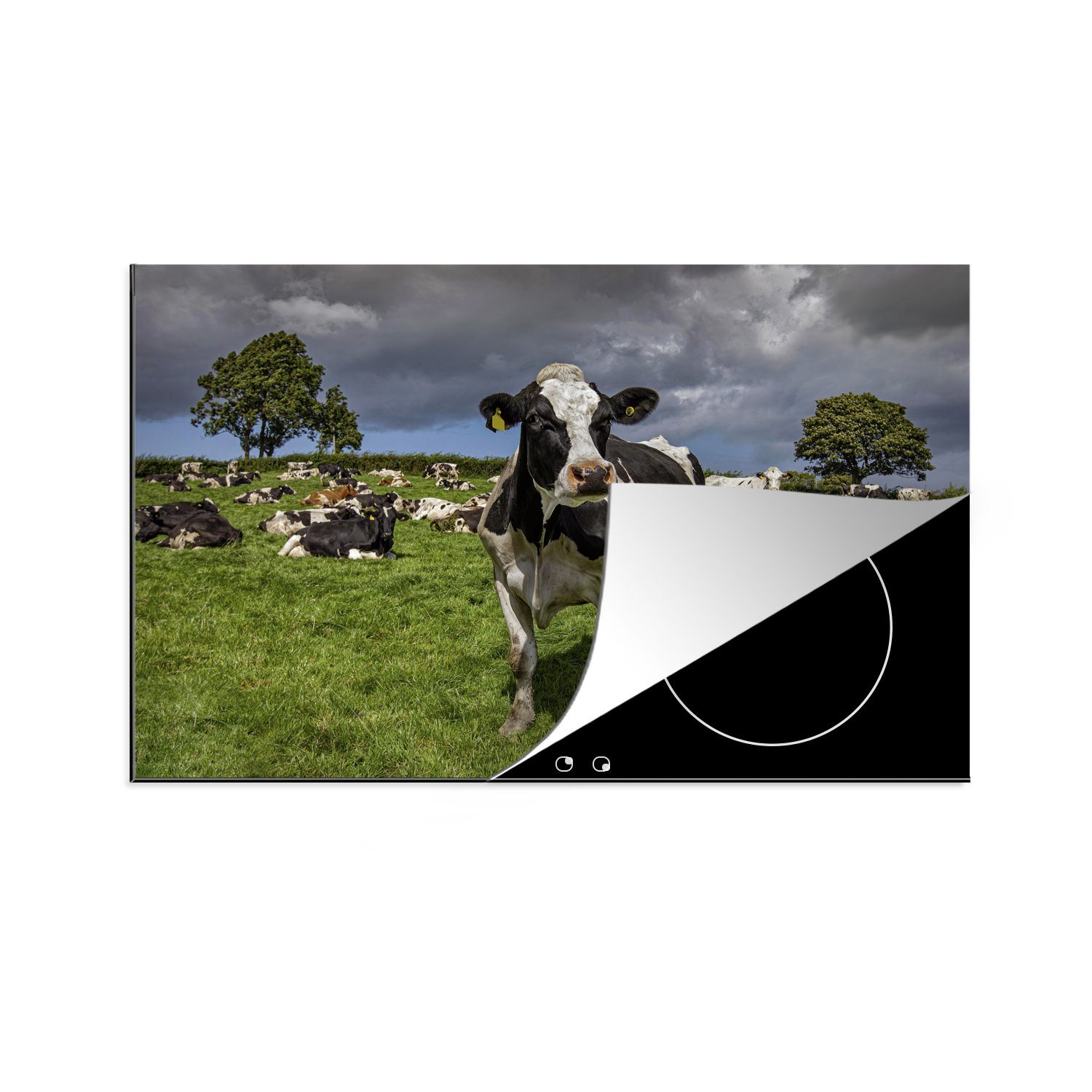 - 81x52 Induktionskochfeld Kühe für Friesisch, Ceranfeldabdeckung Herdblende-/Abdeckplatte MuchoWow küche, Vinyl, - tlg), (1 die Schutz Tiere cm,