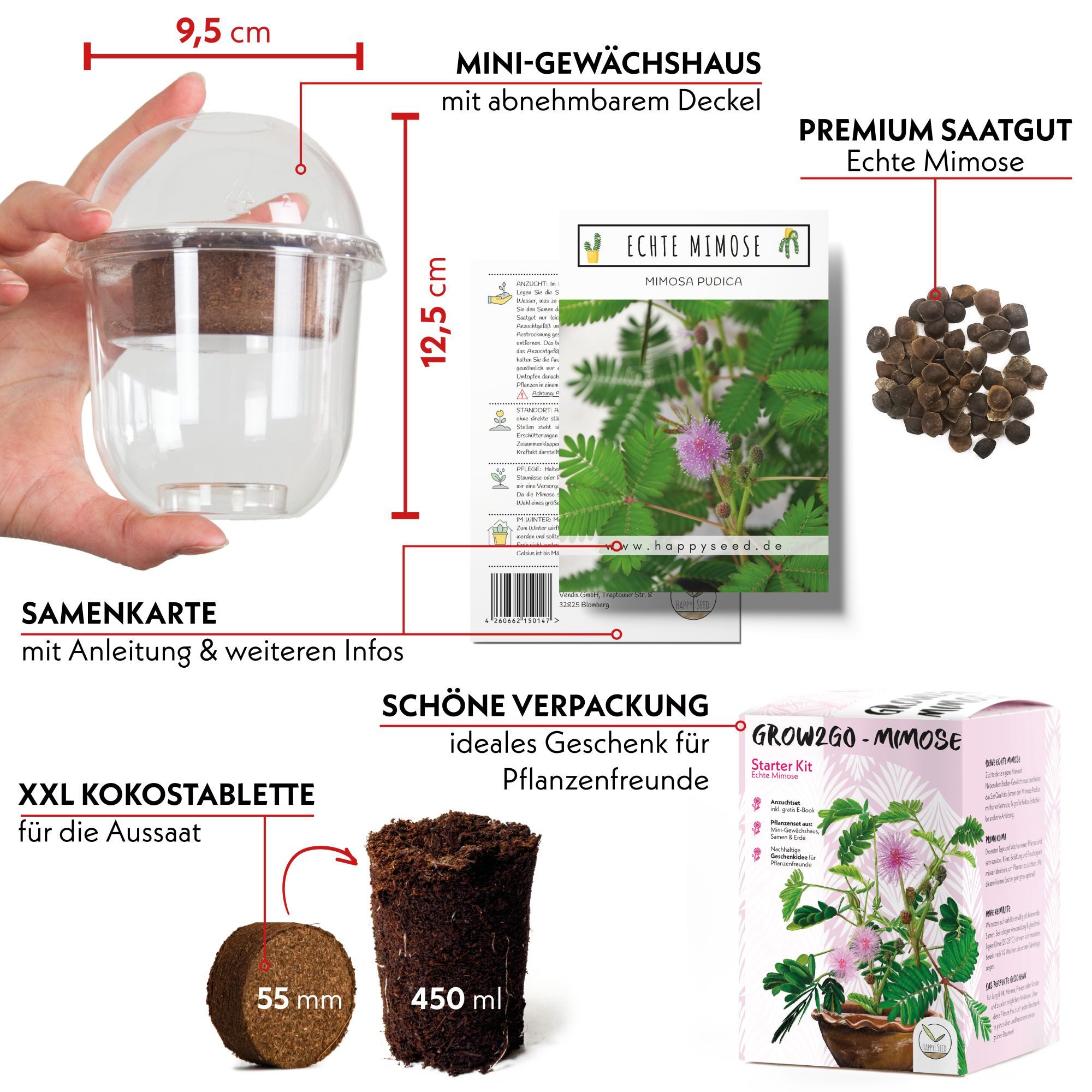 HappySeed Blumensamen Mimose Anzuchtset - Pflanzset aus Mini-Gewächshaus, S günstig online kaufen